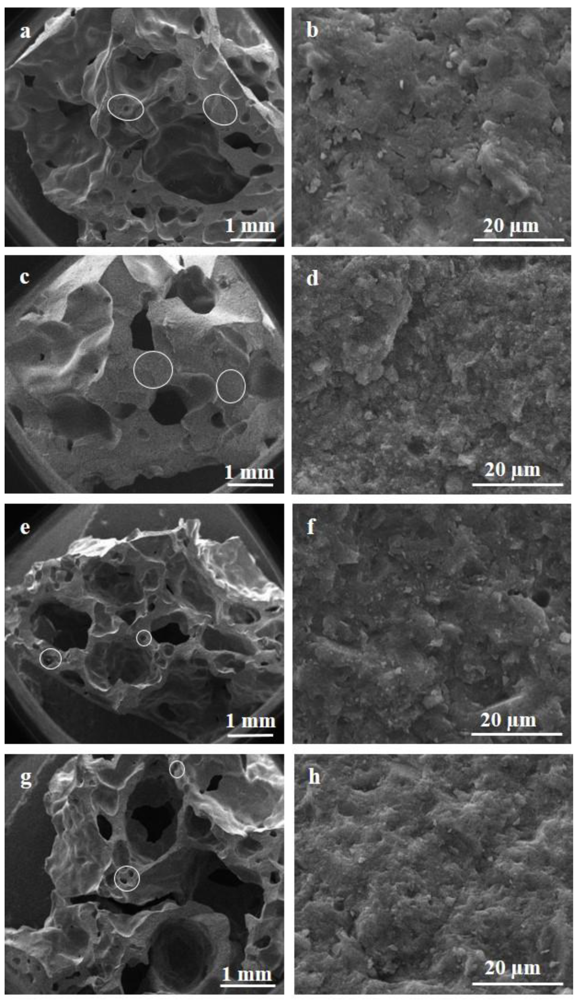 Materials 15 01008 g003