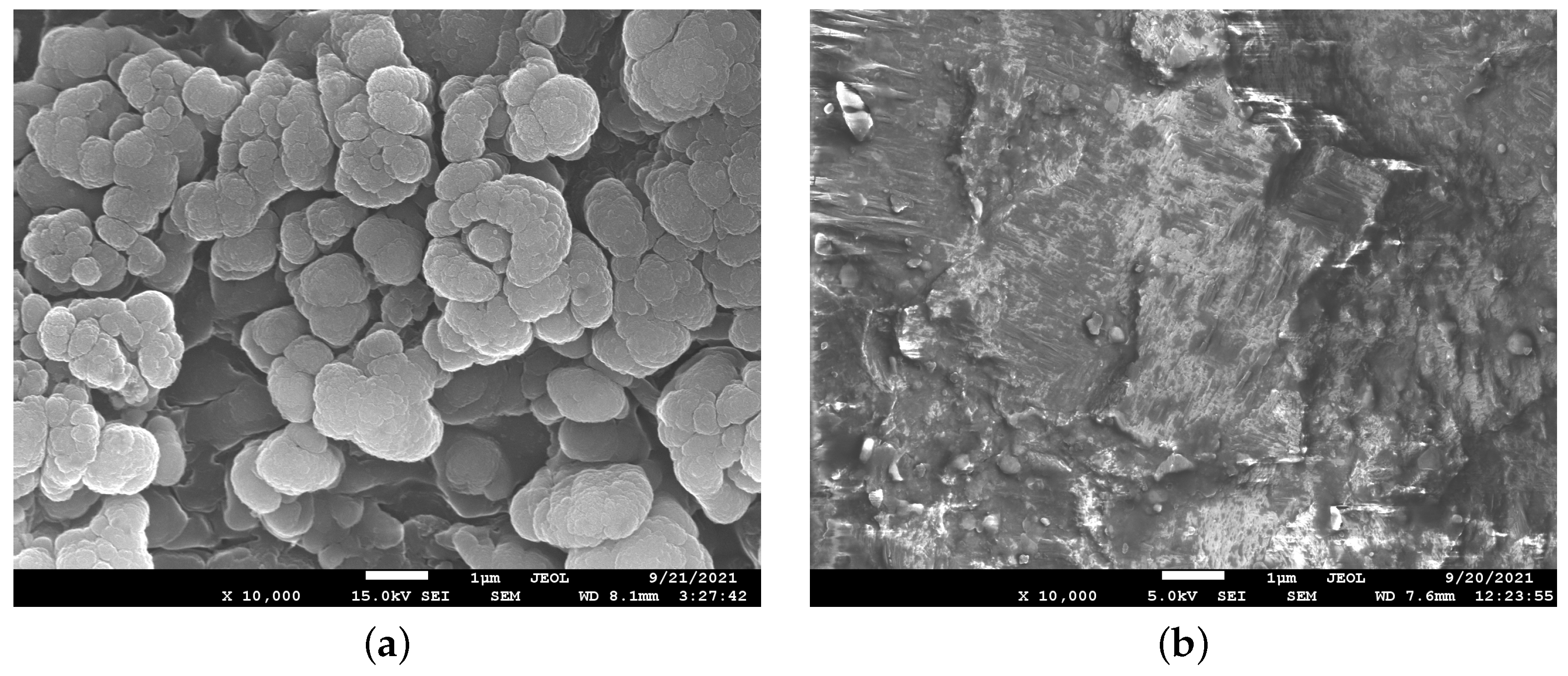 Materials 15 01014 g001 Materials 15 01014 g001