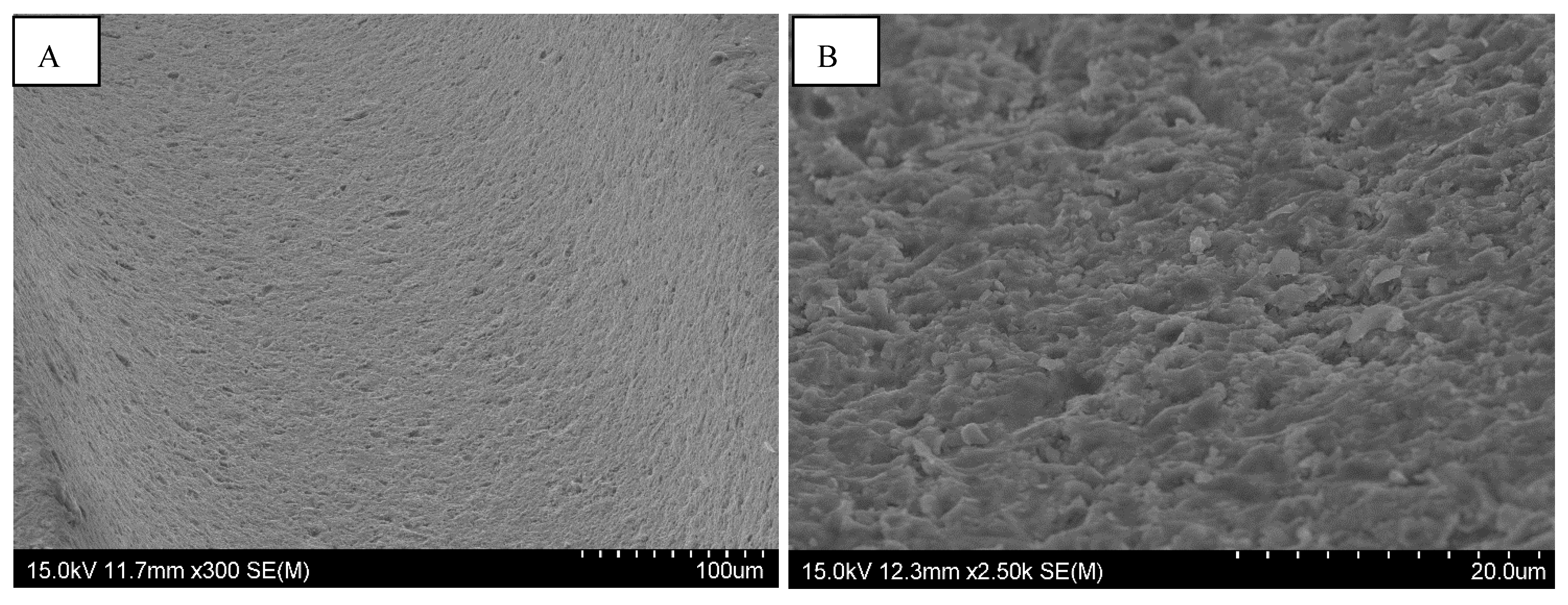 Materials 15 01018 g002 550