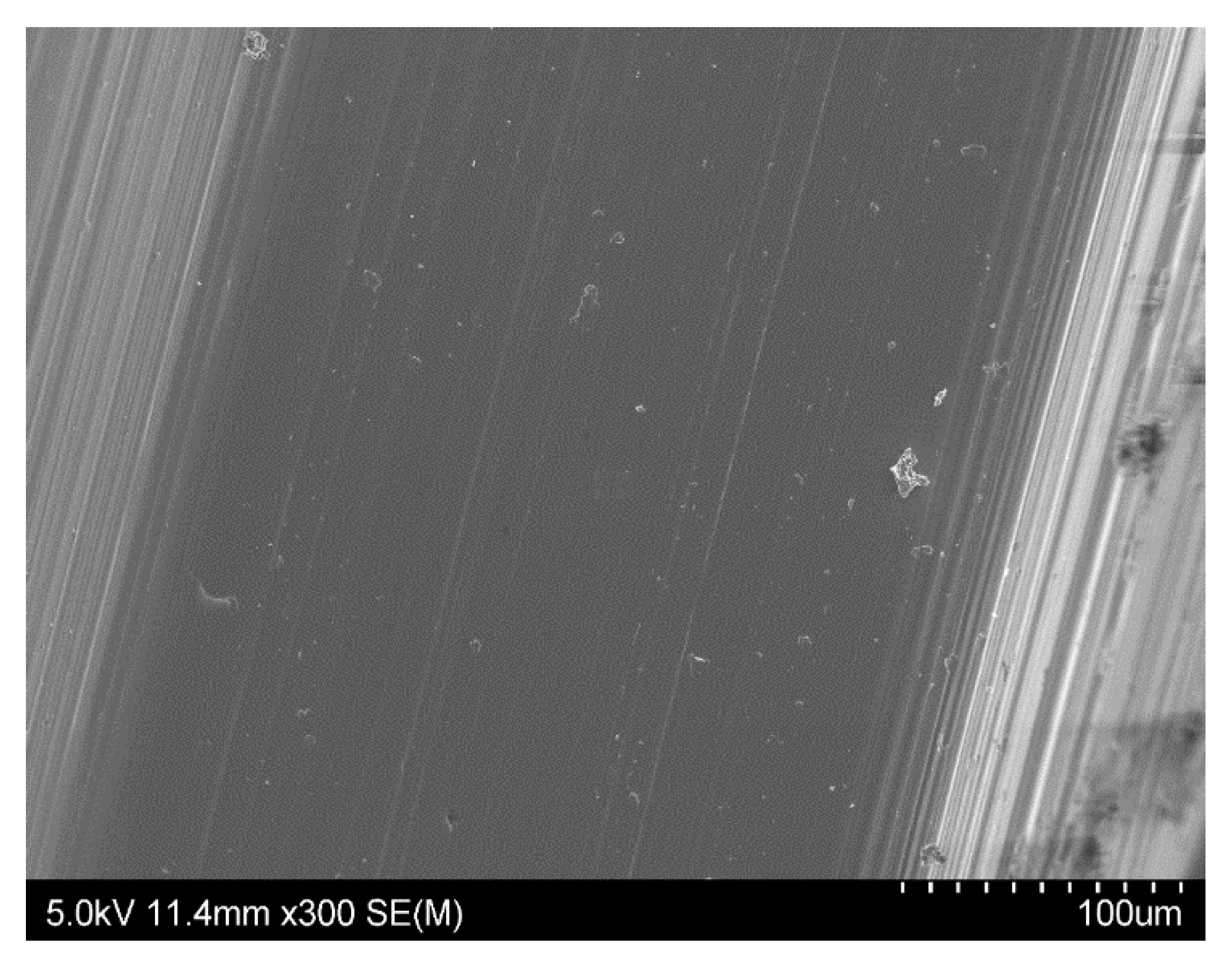 Materials 15 01018 g005 550