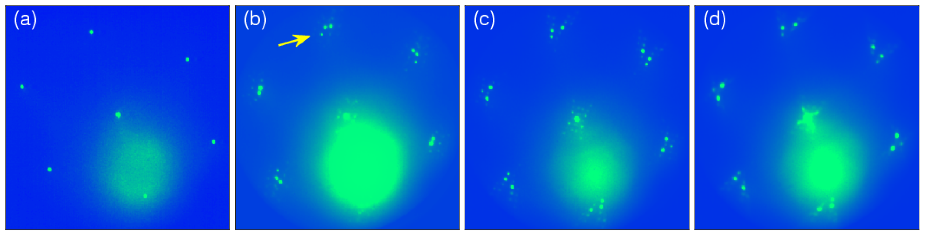 Materials 15 01019 g001 550