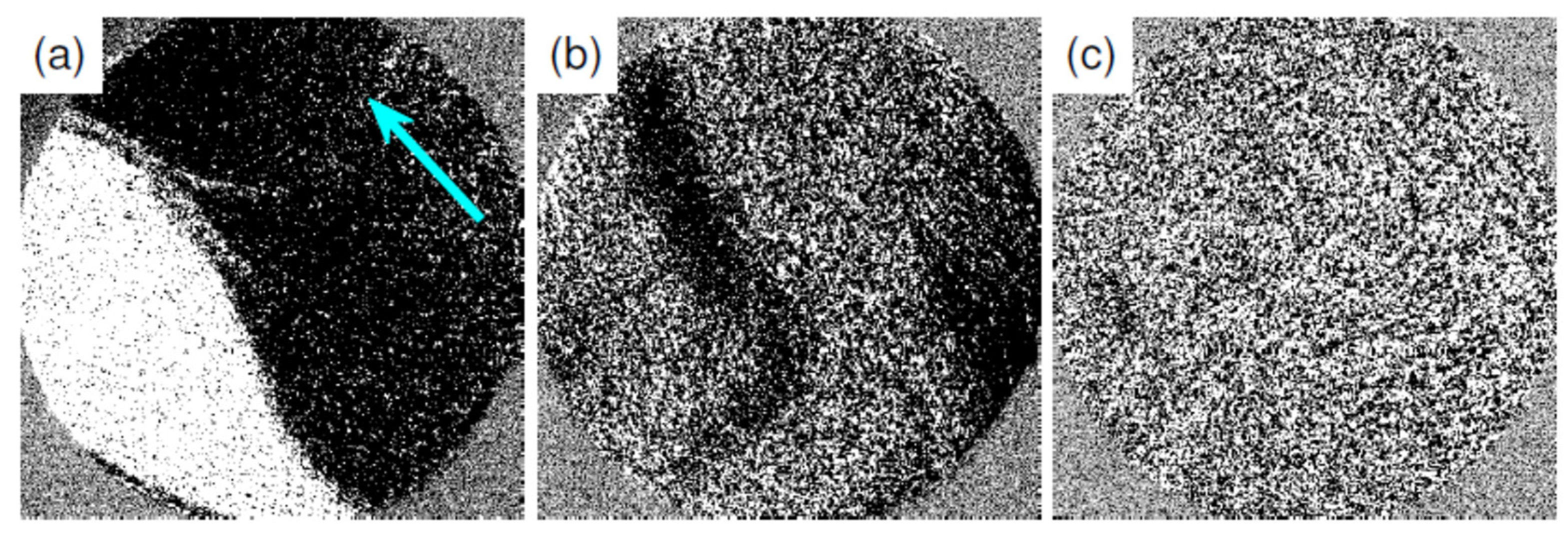 Materials 15 01019 g002 550