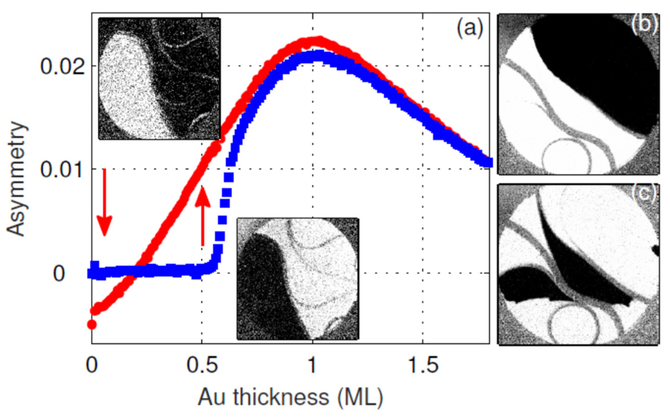 Materials 15 01019 g003 550