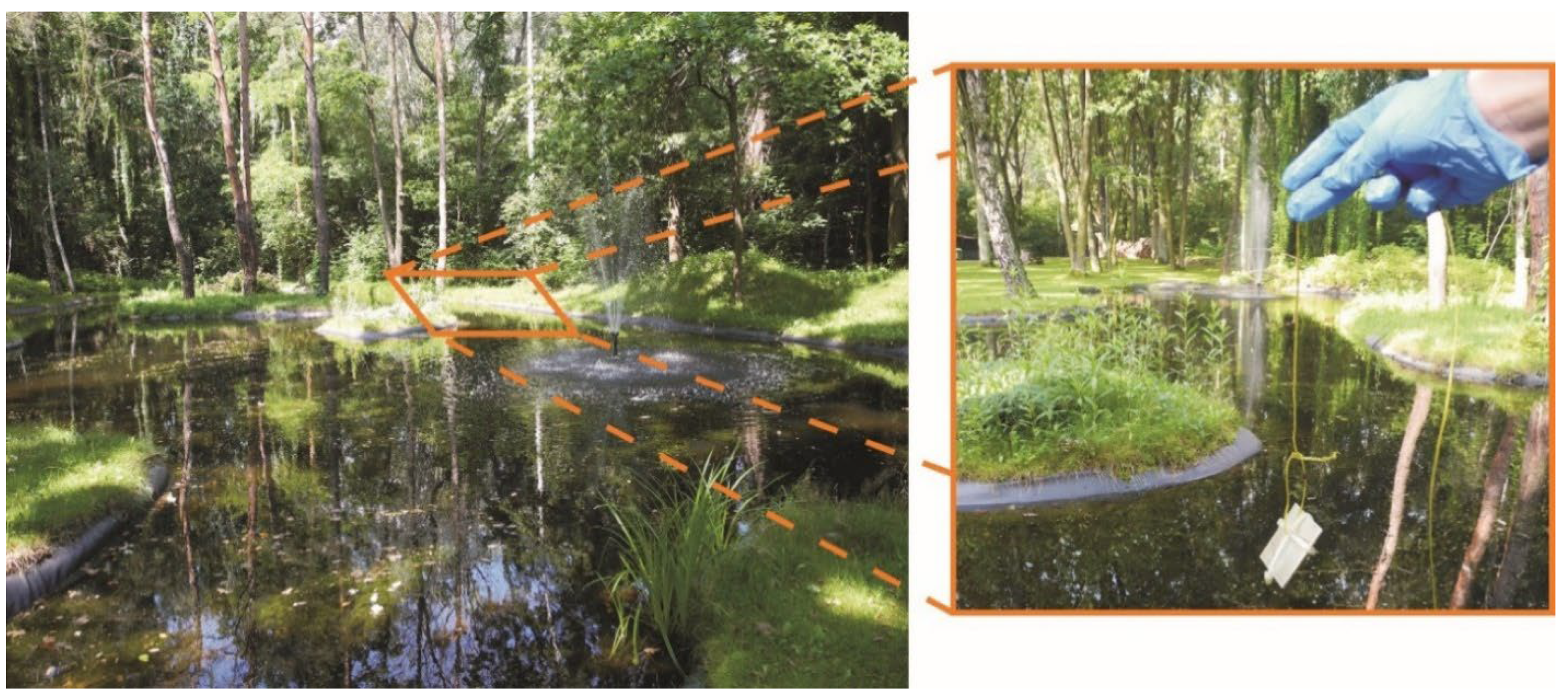 Materials 15 01042 g002