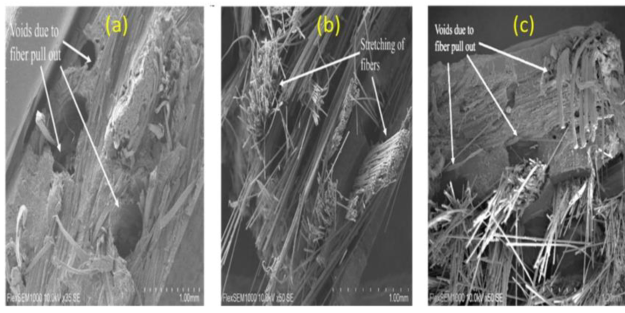 Materials 15 01055 g006 550