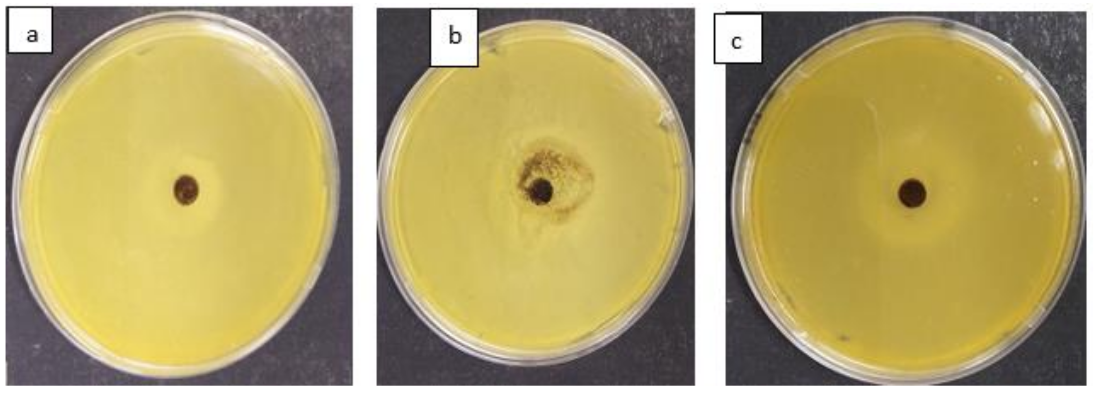 Materials 15 01065 g014 550