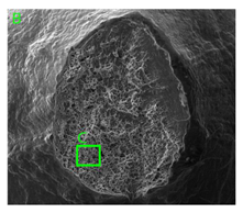 Materials 15 01066 i002
