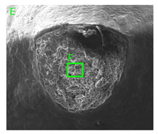 Materials 15 01066 i005