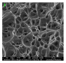 Materials 15 01066 i012