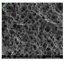 Materials 15 01066 i021