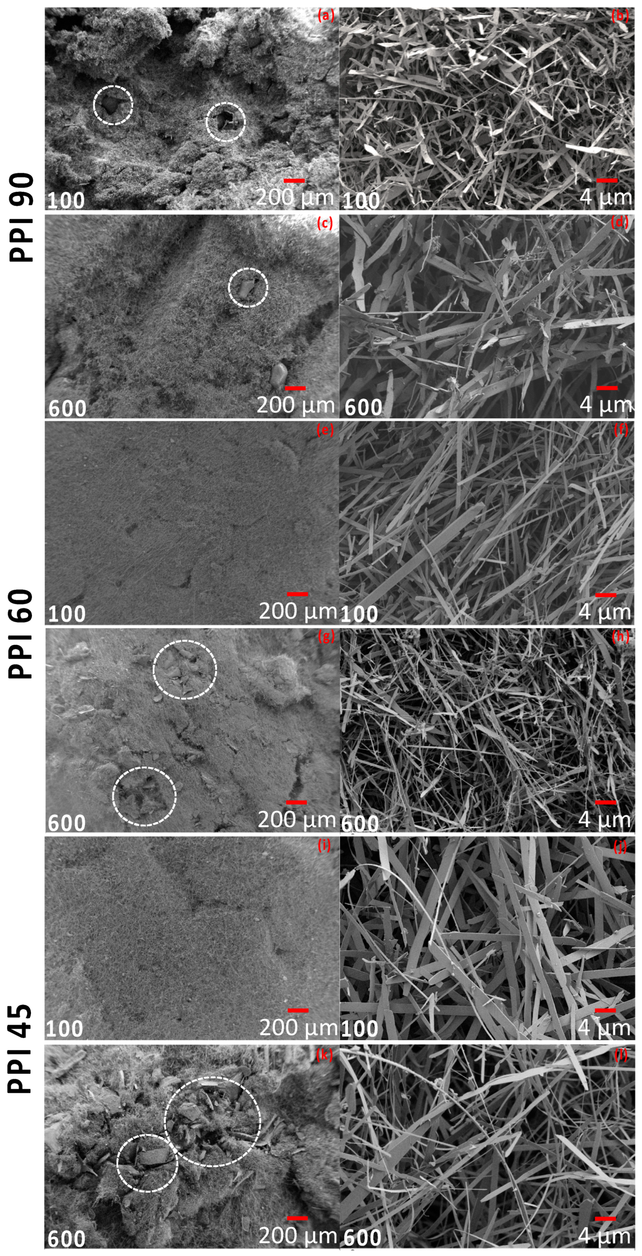 Materials 15 01068 g004 550