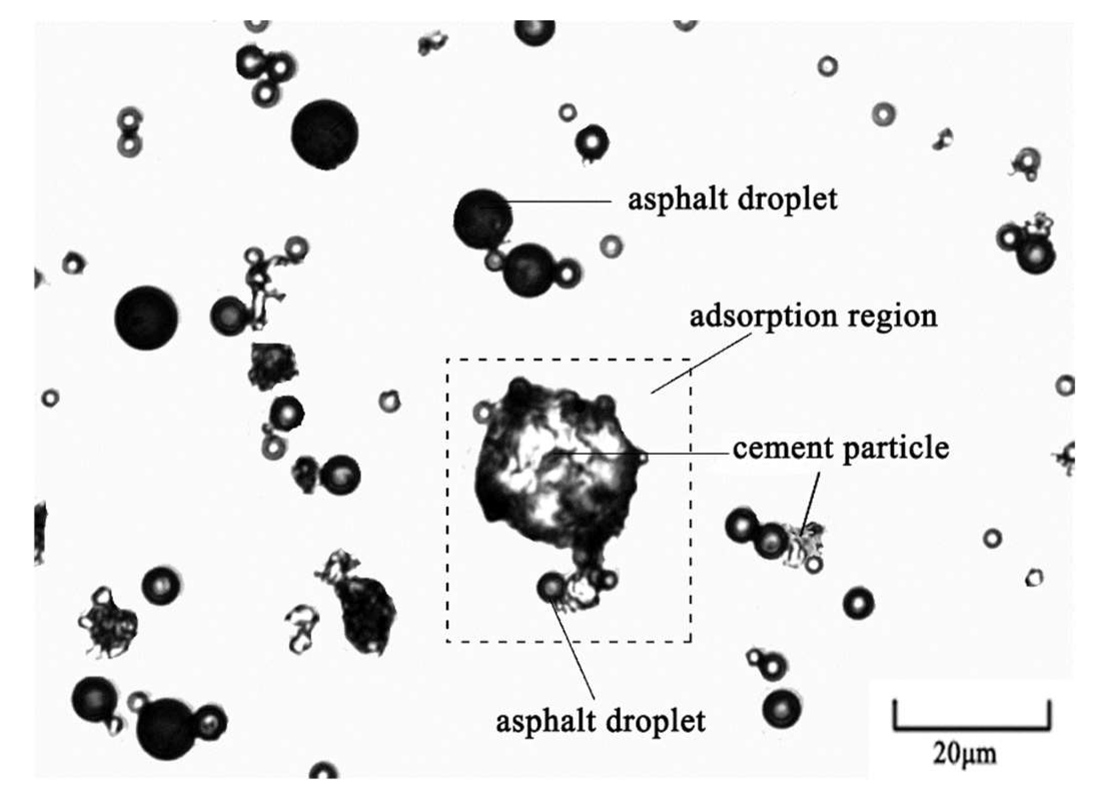 Materials 15 01070 g003 550