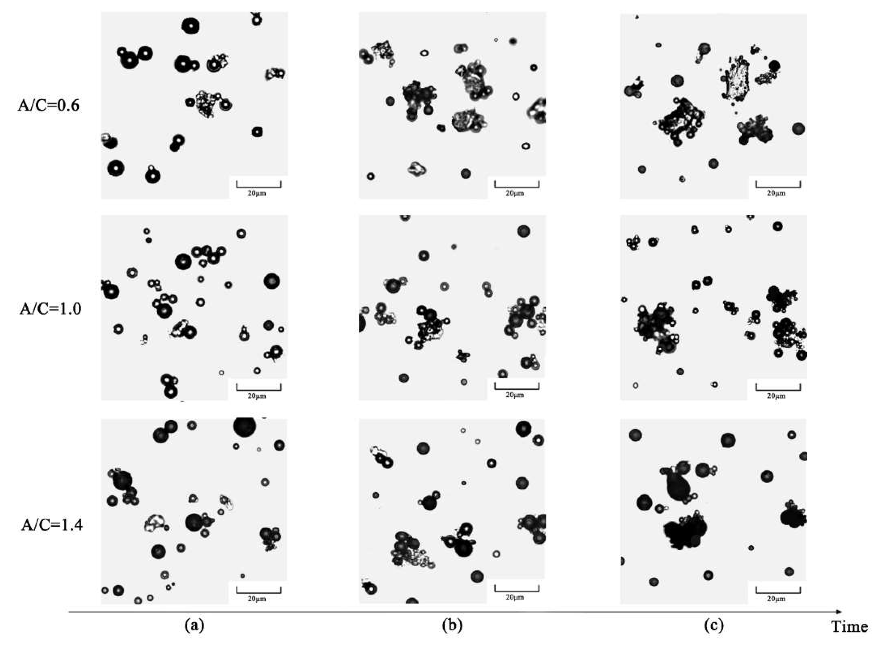 Materials 15 01070 g004 550