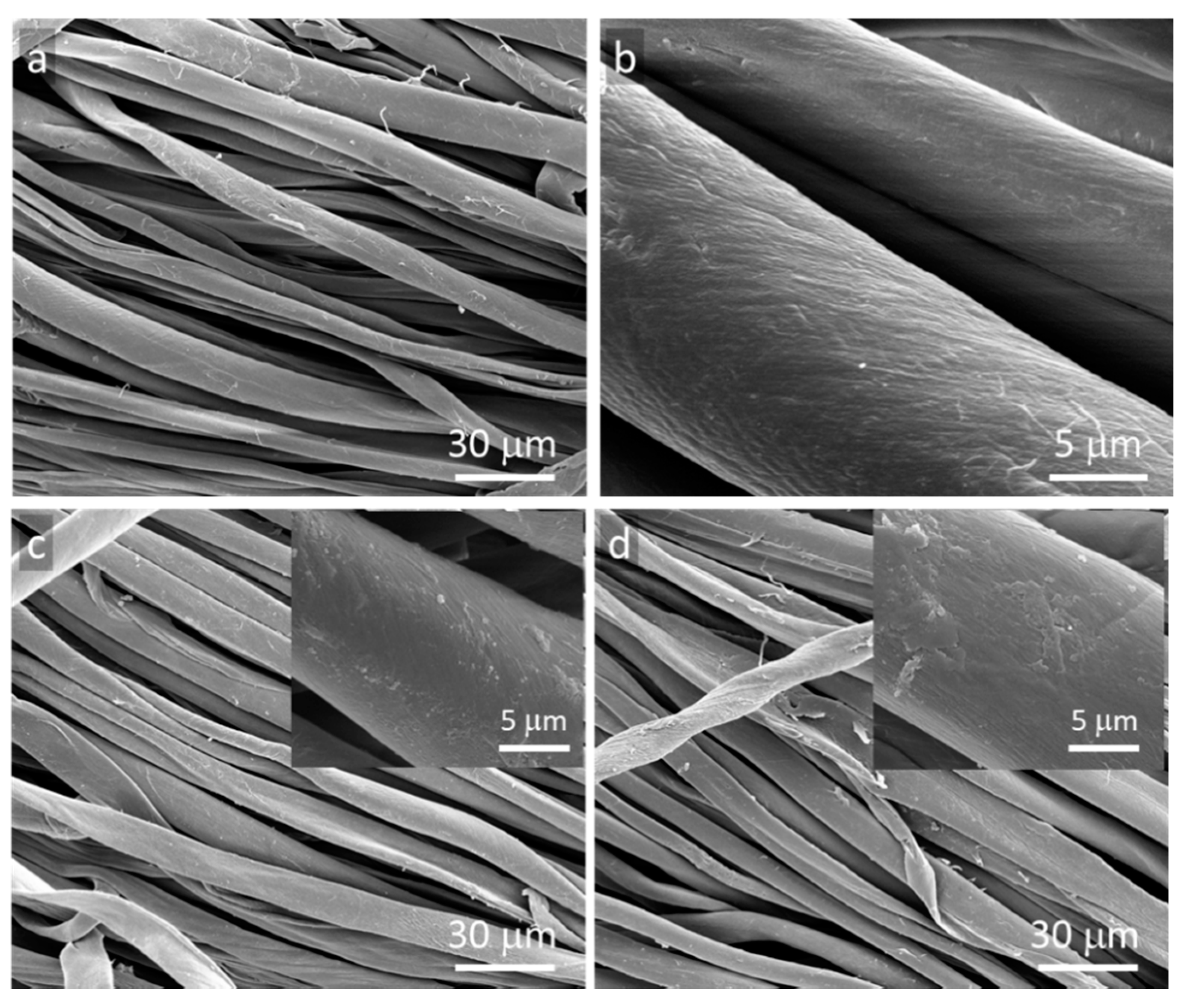 Materials Free FullText Antibacterial Electroconductive Composite