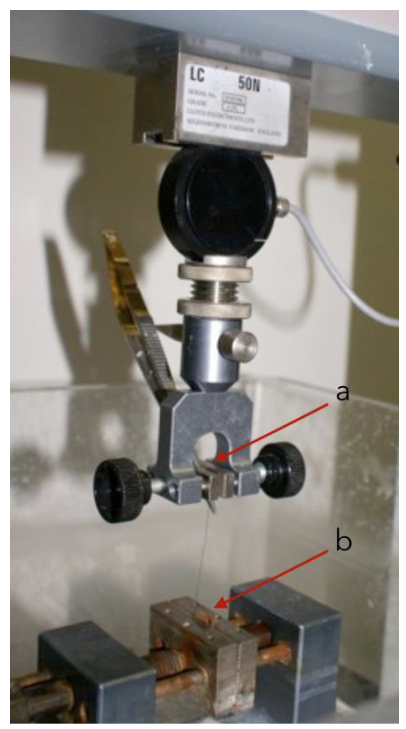 Materials 15 01082 g001 550