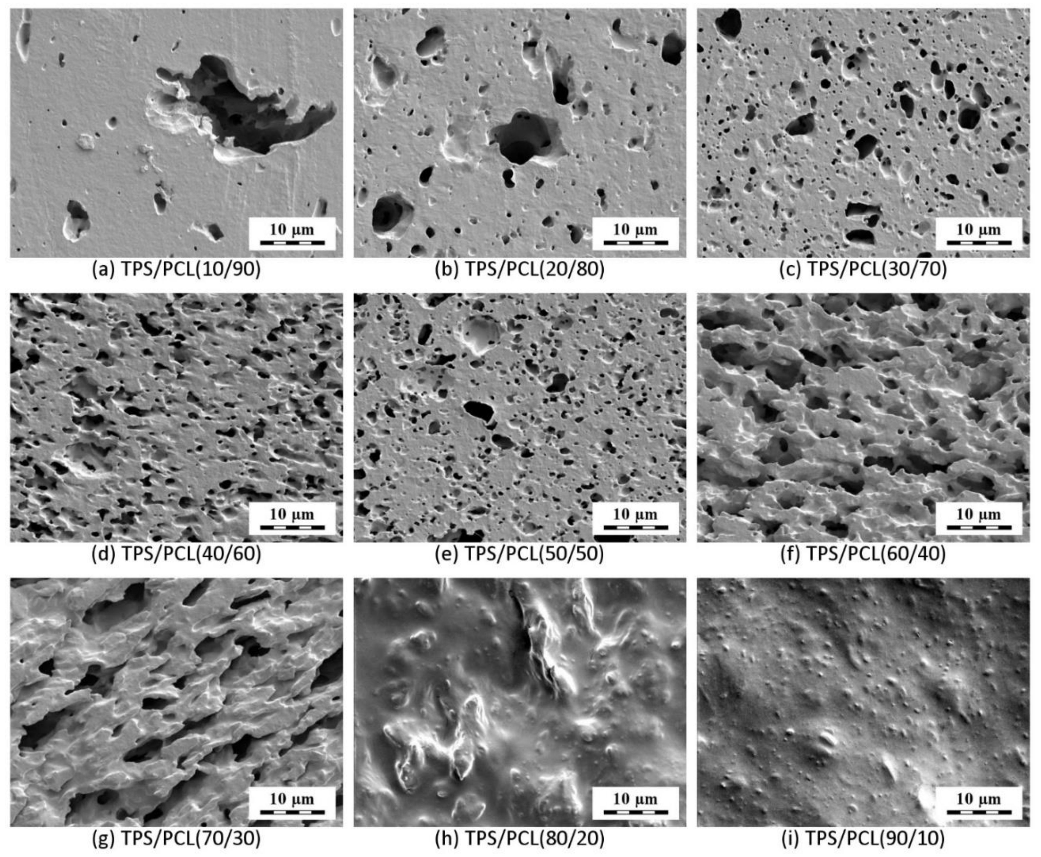 Materials 15 01101 g004 Materials 15 01101 g004