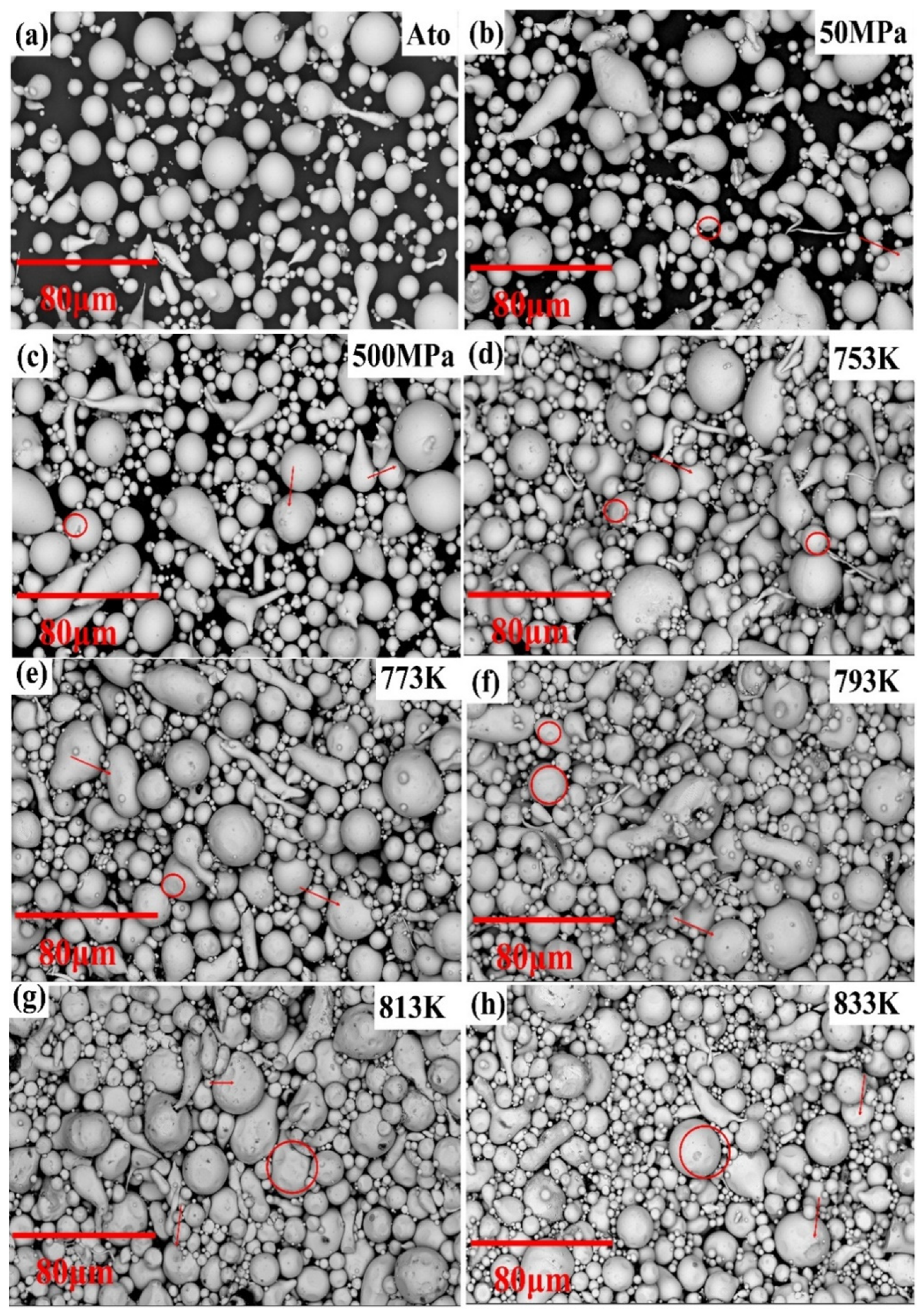 Materials 15 01106 g005 550