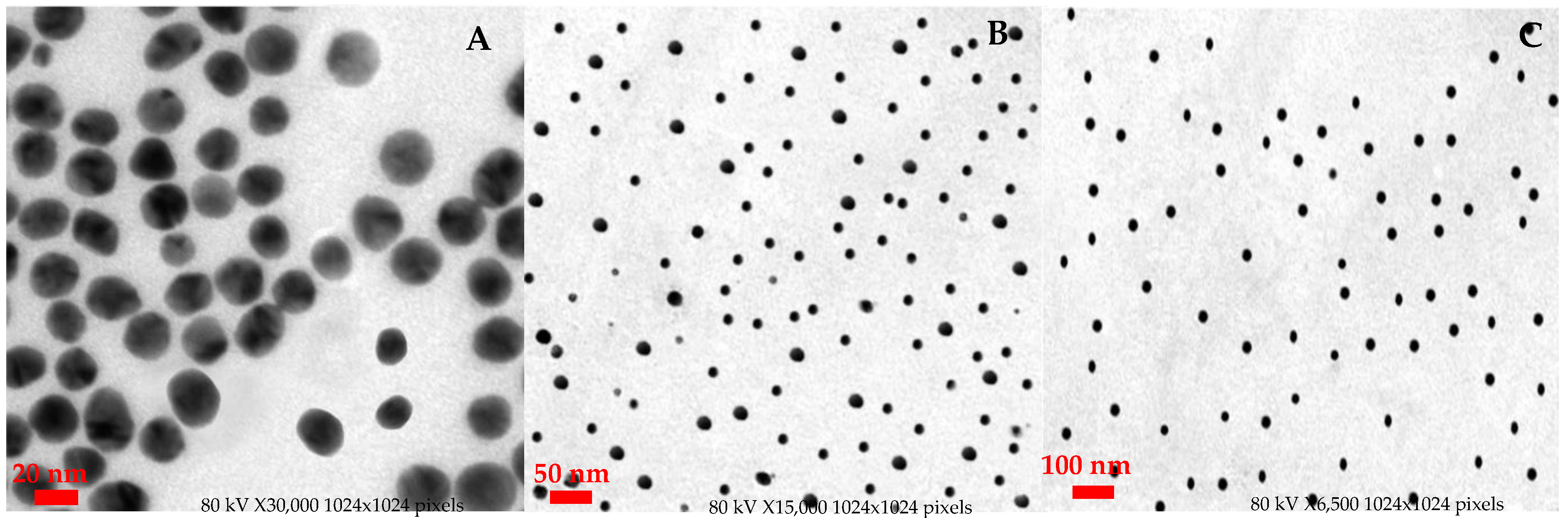 Materials 15 01108 g003 550