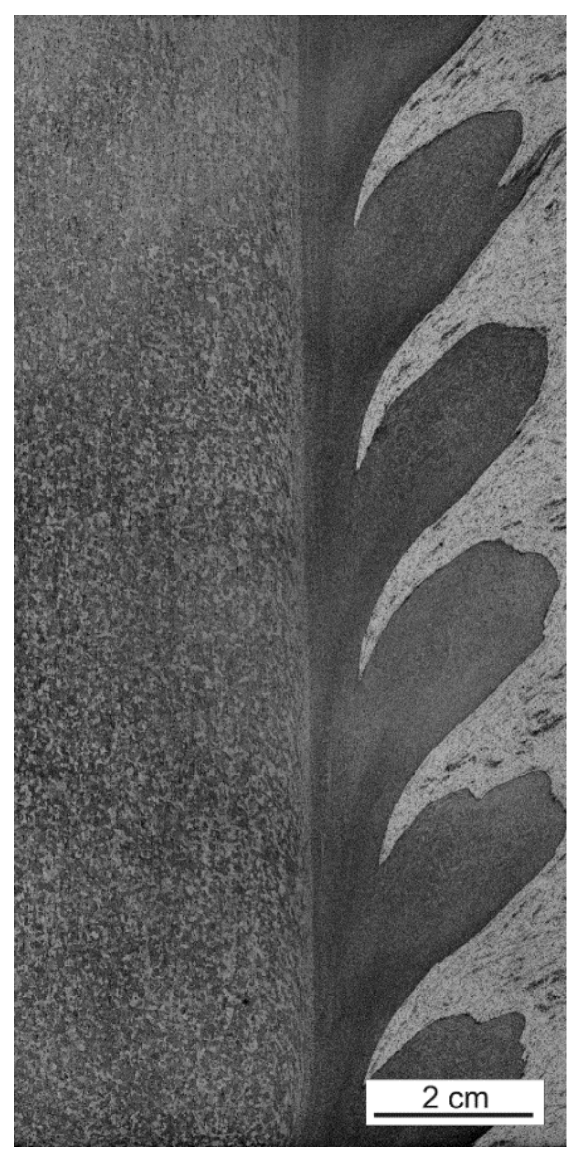 Materials 15 01129 g007