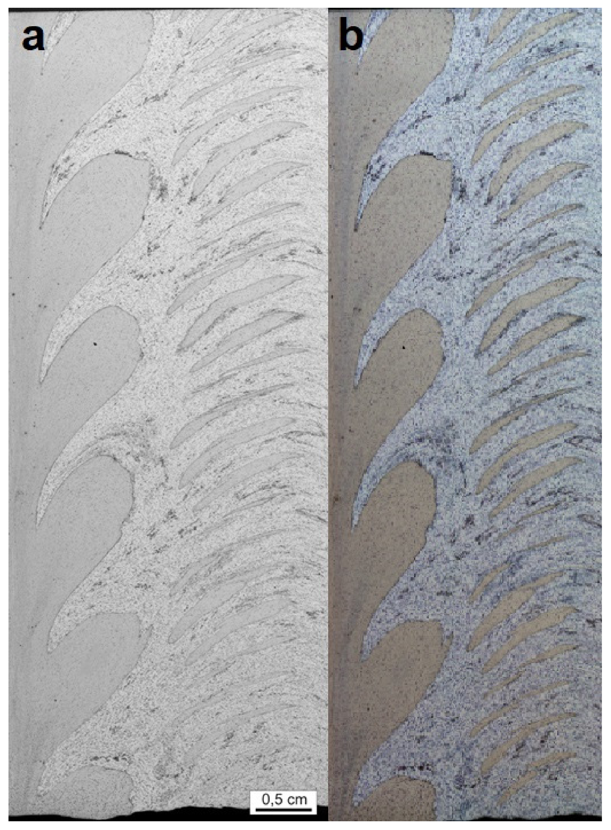 Materials 15 01129 g013