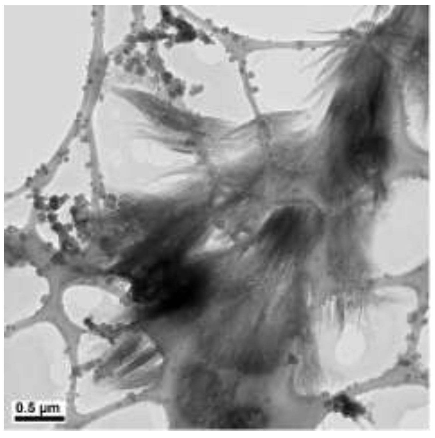 Materials 15 01135 g007