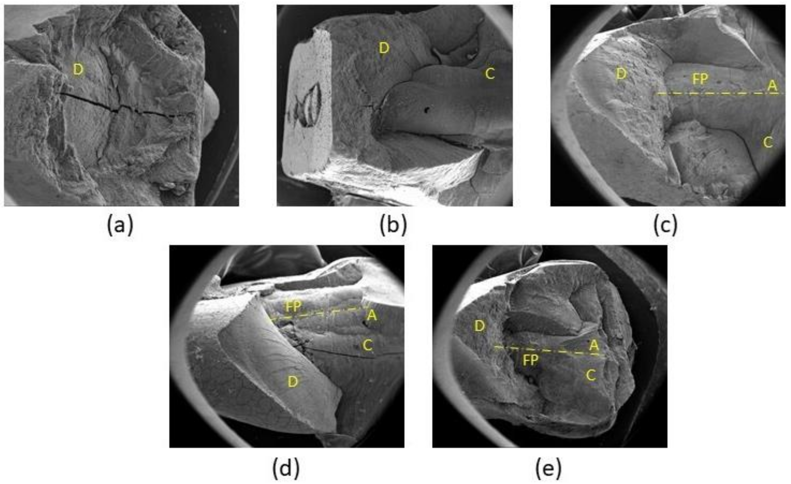 Materials 15 01141 g006 550