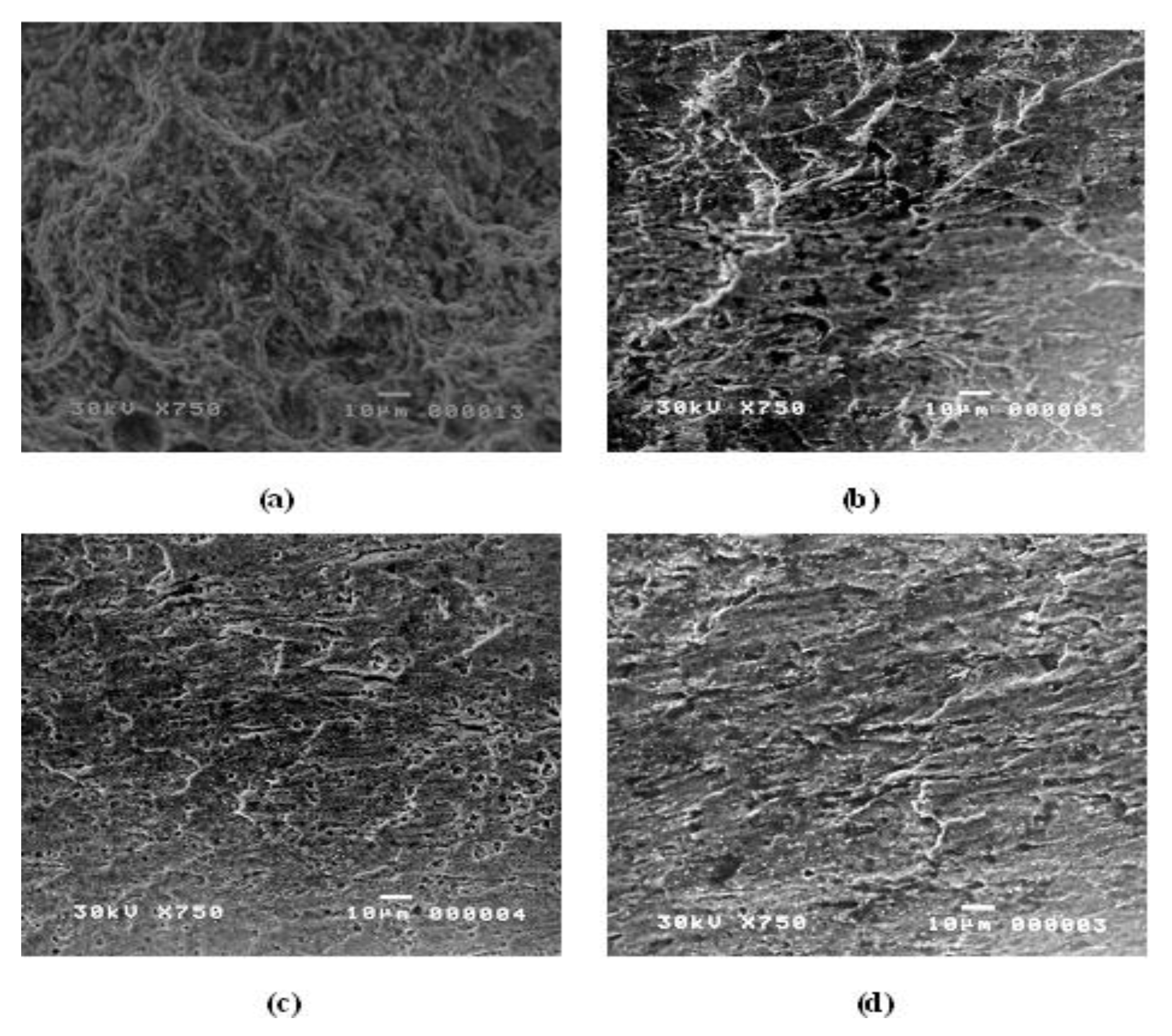 Materials 15 01146 g005 550