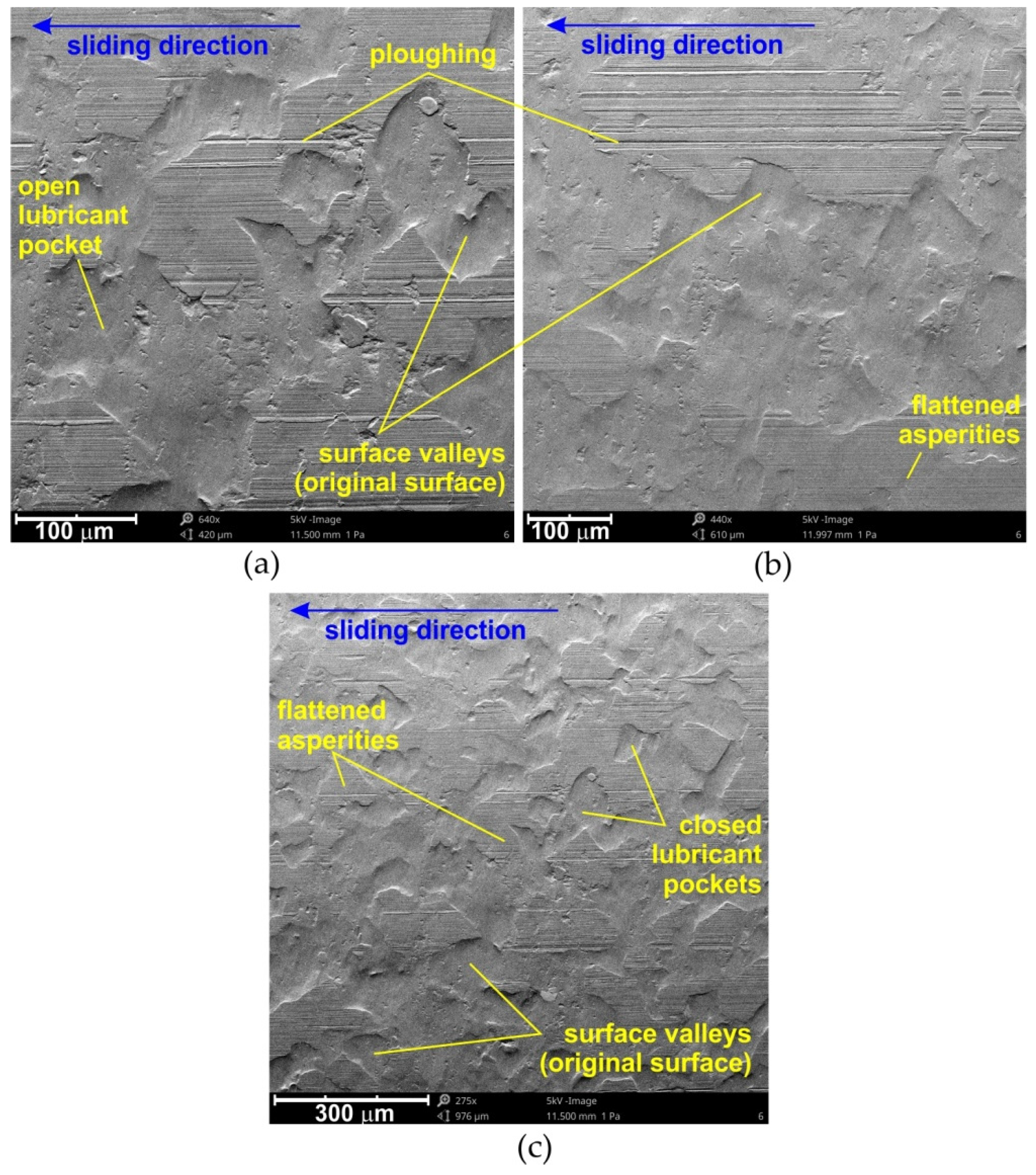Materials 15 01151 g006