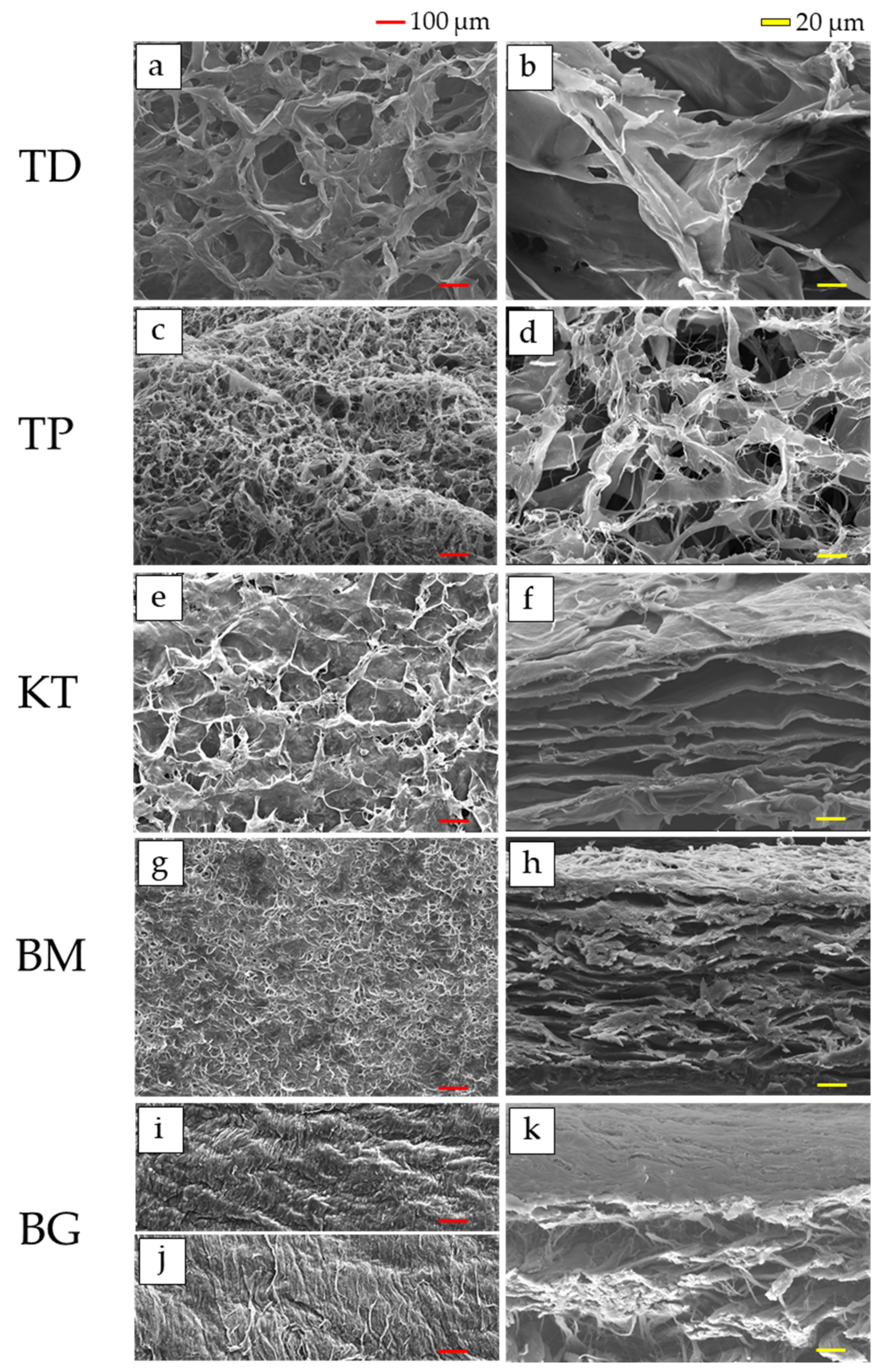 Materials 15 01155 g001 Materials 15 01155 g001
