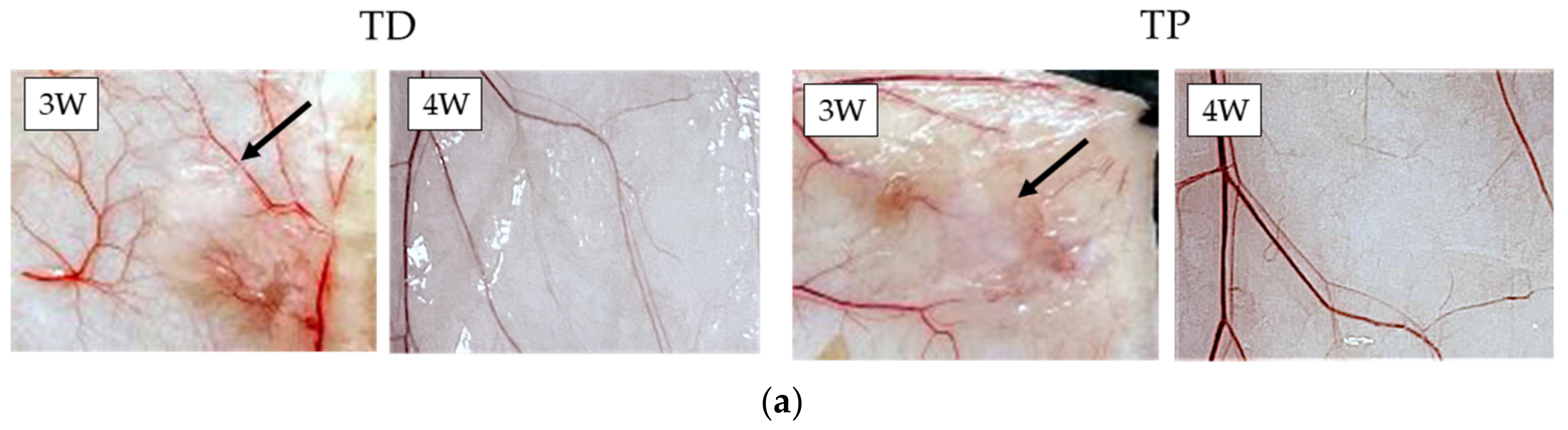 Materials 15 01155 g004a Materials 15 01155 g004a