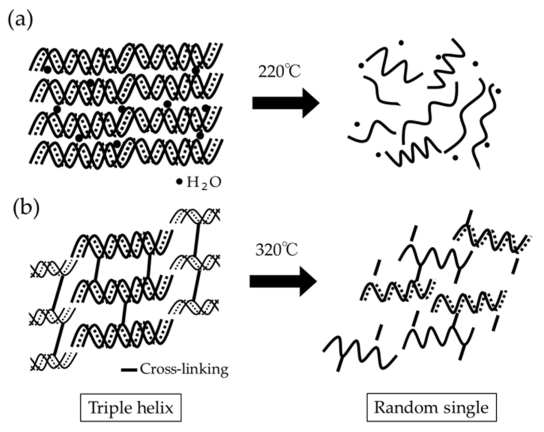 Materials 15 01155 g005 Materials 15 01155 g005