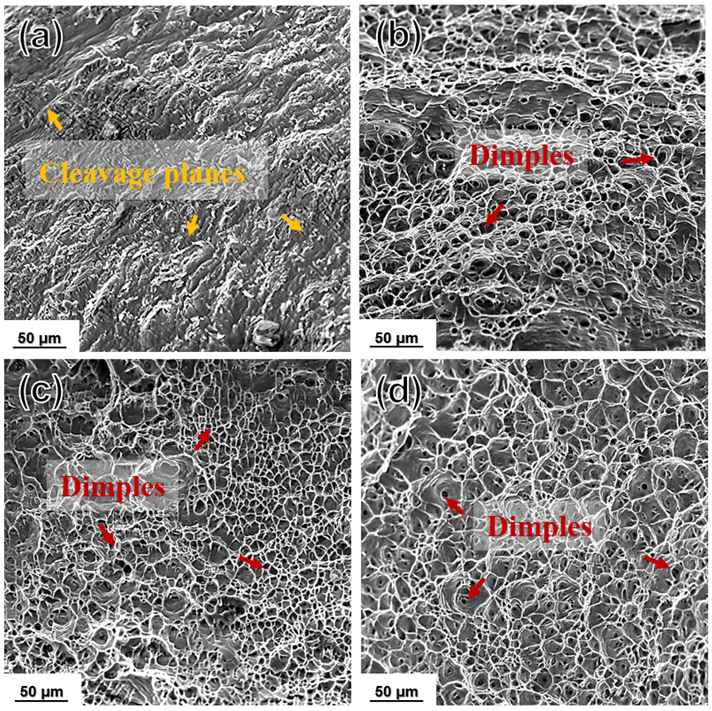 Materials 15 01206 g012