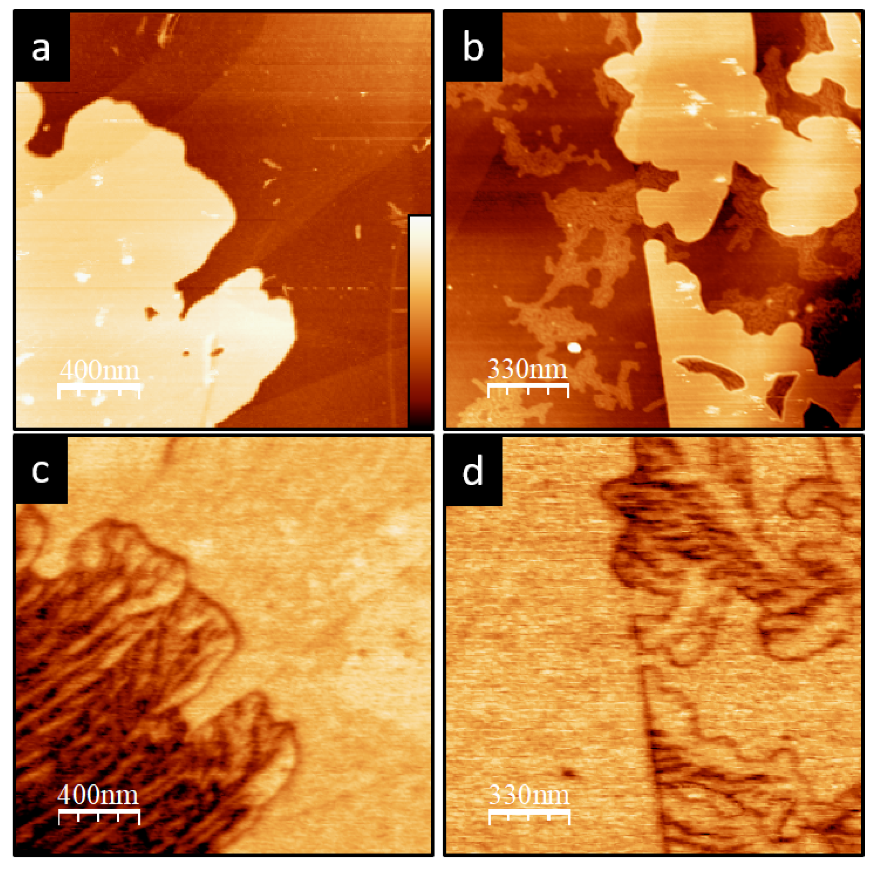 Materials 15 01212 g007 550