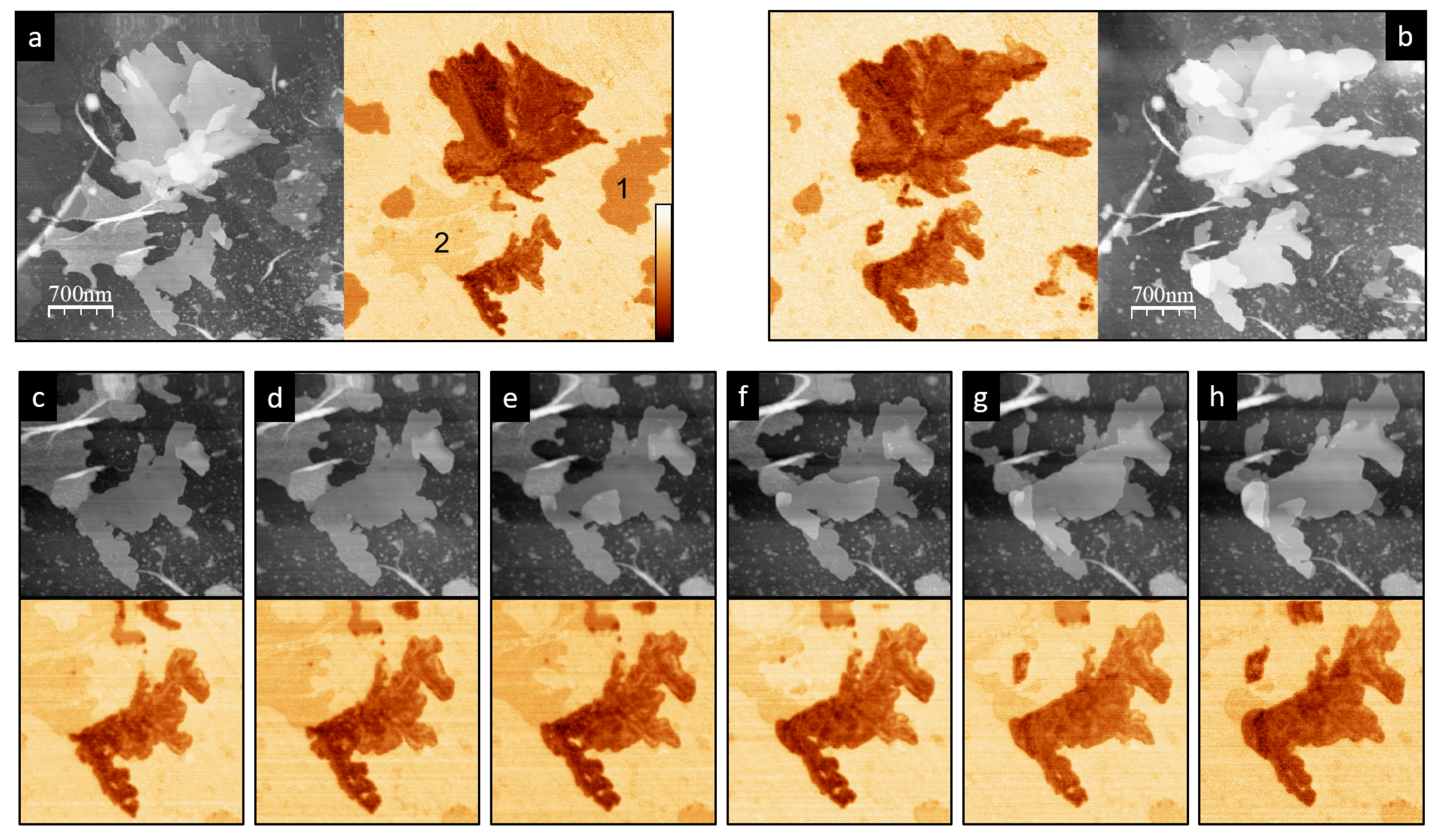 Materials 15 01212 g008 550