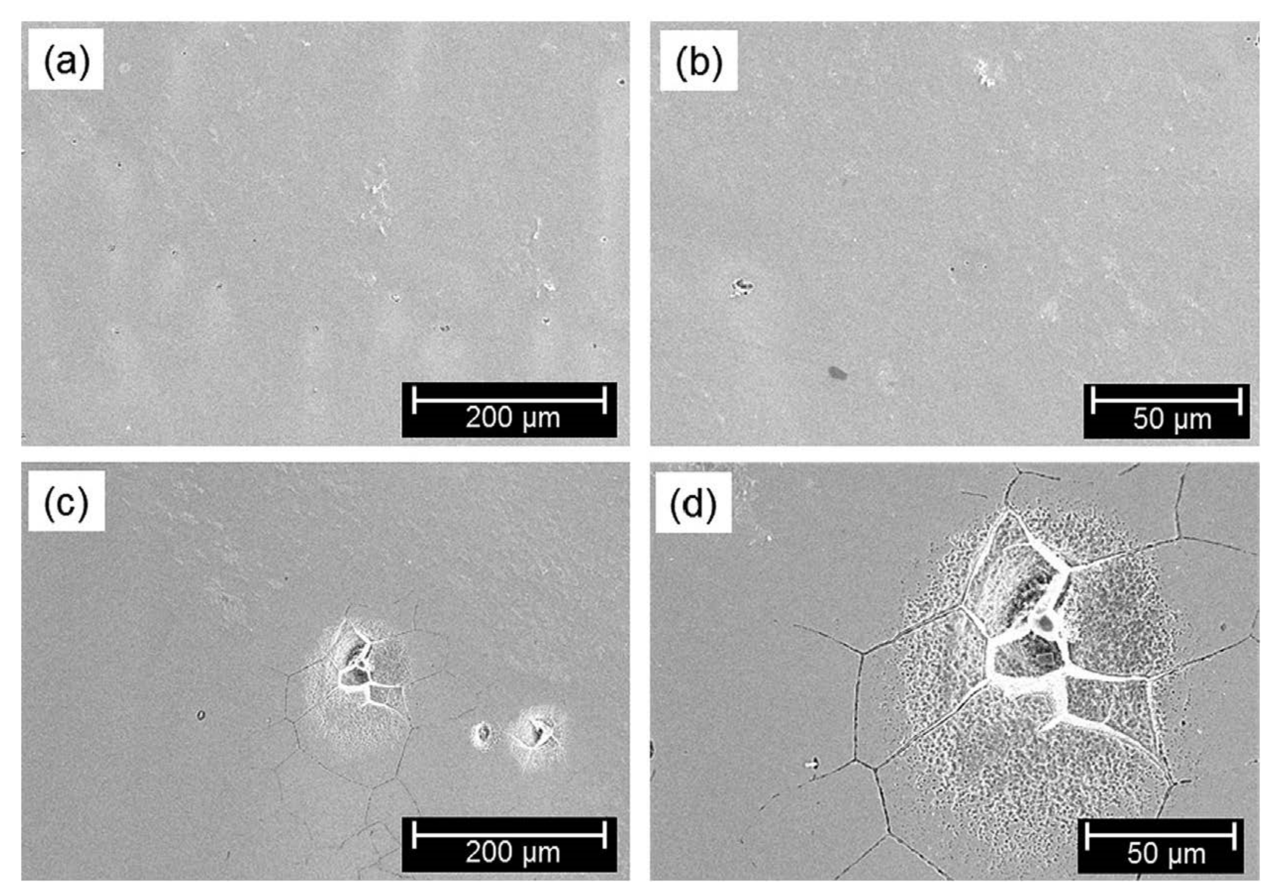Materials 15 01231 g011 Materials 15 01231 g011