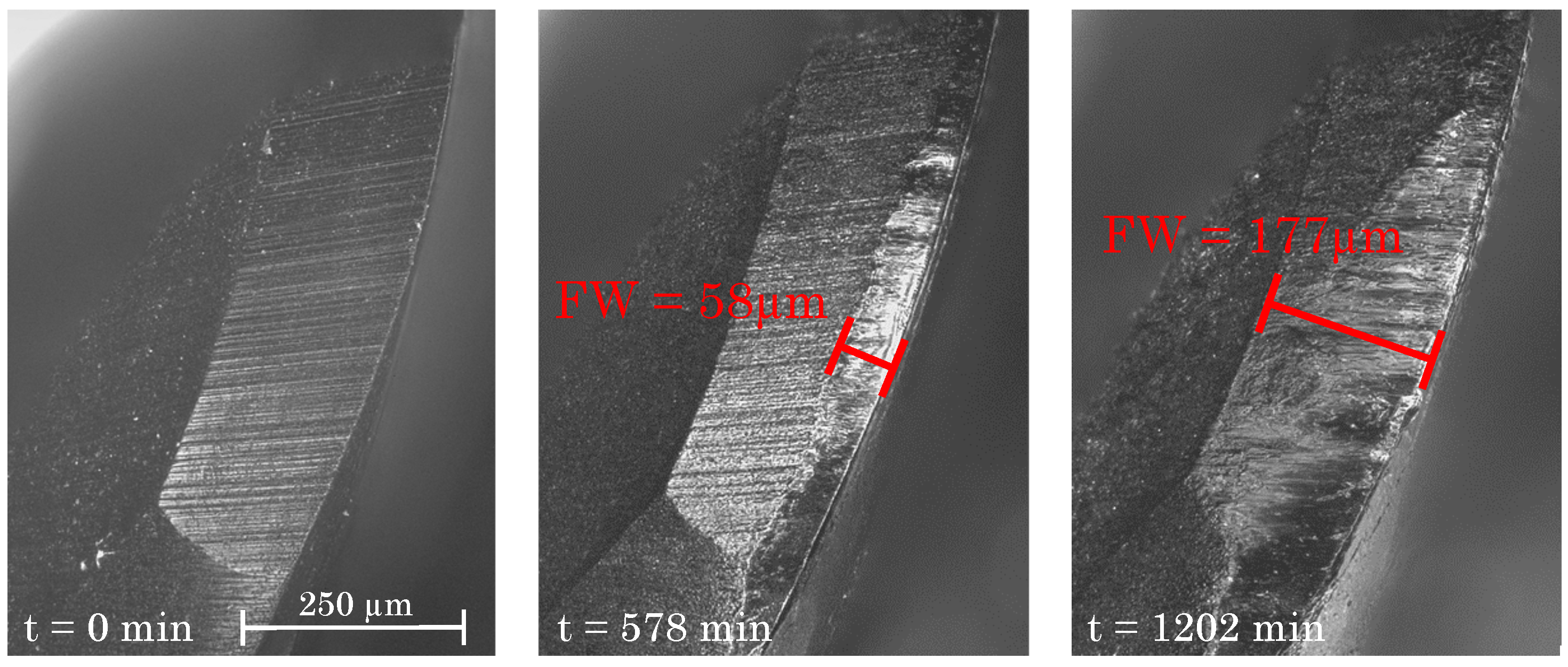 Materials 15 01236 g007 550