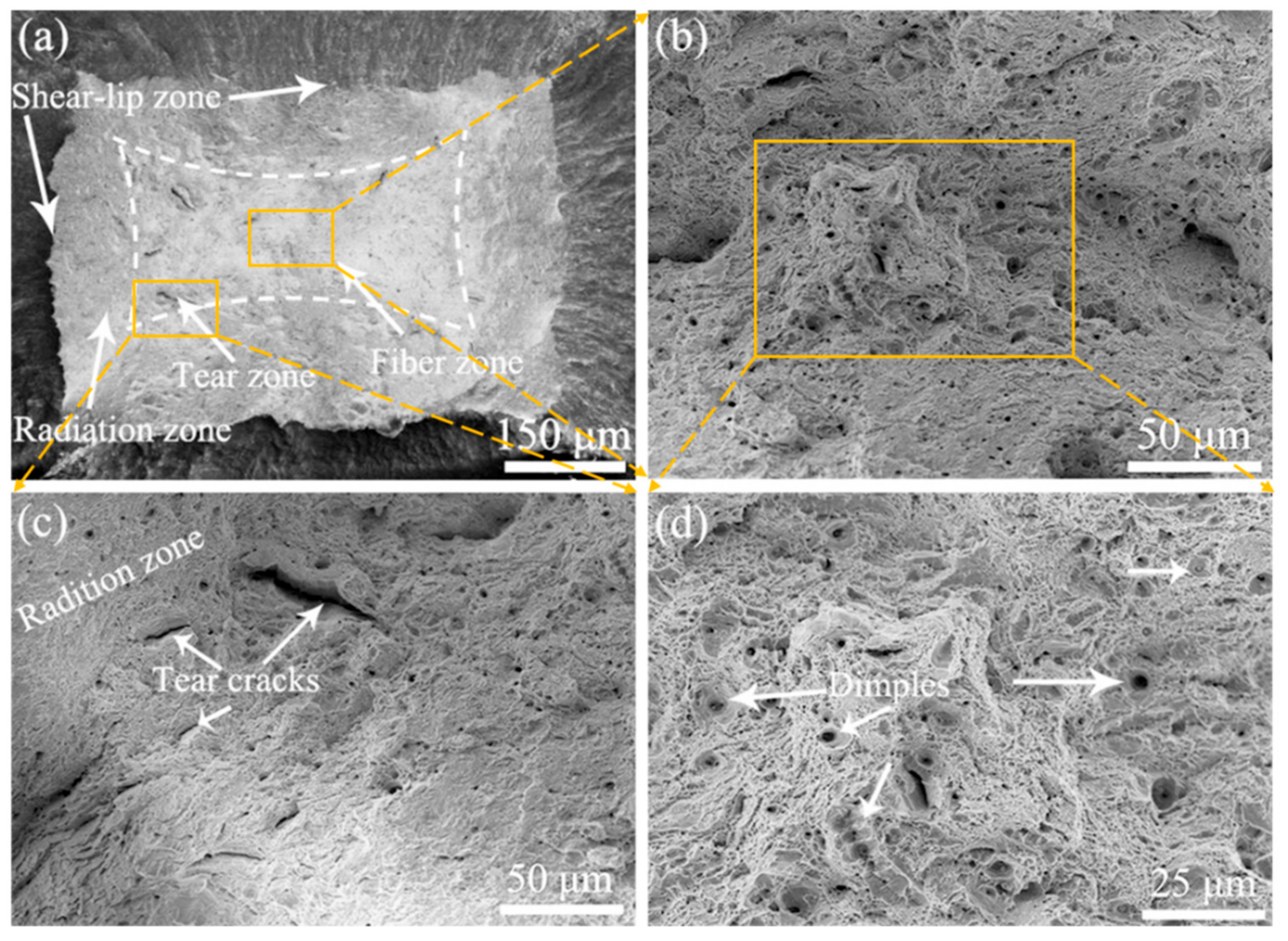 Materials 15 01248 g009