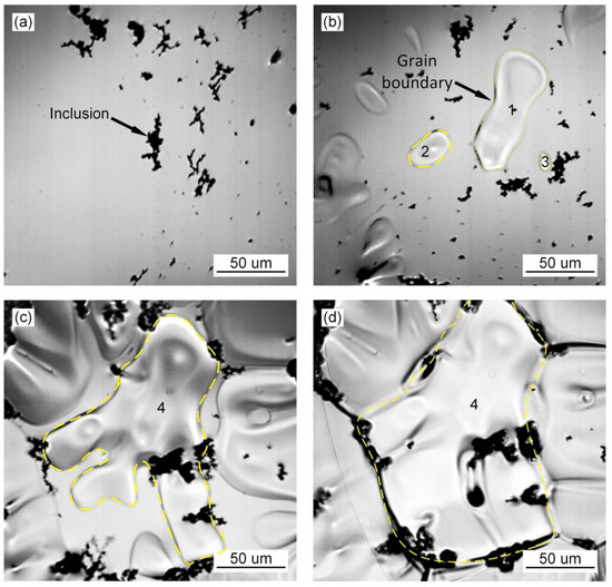 In Situ Observation of Microstructural and Inclusions