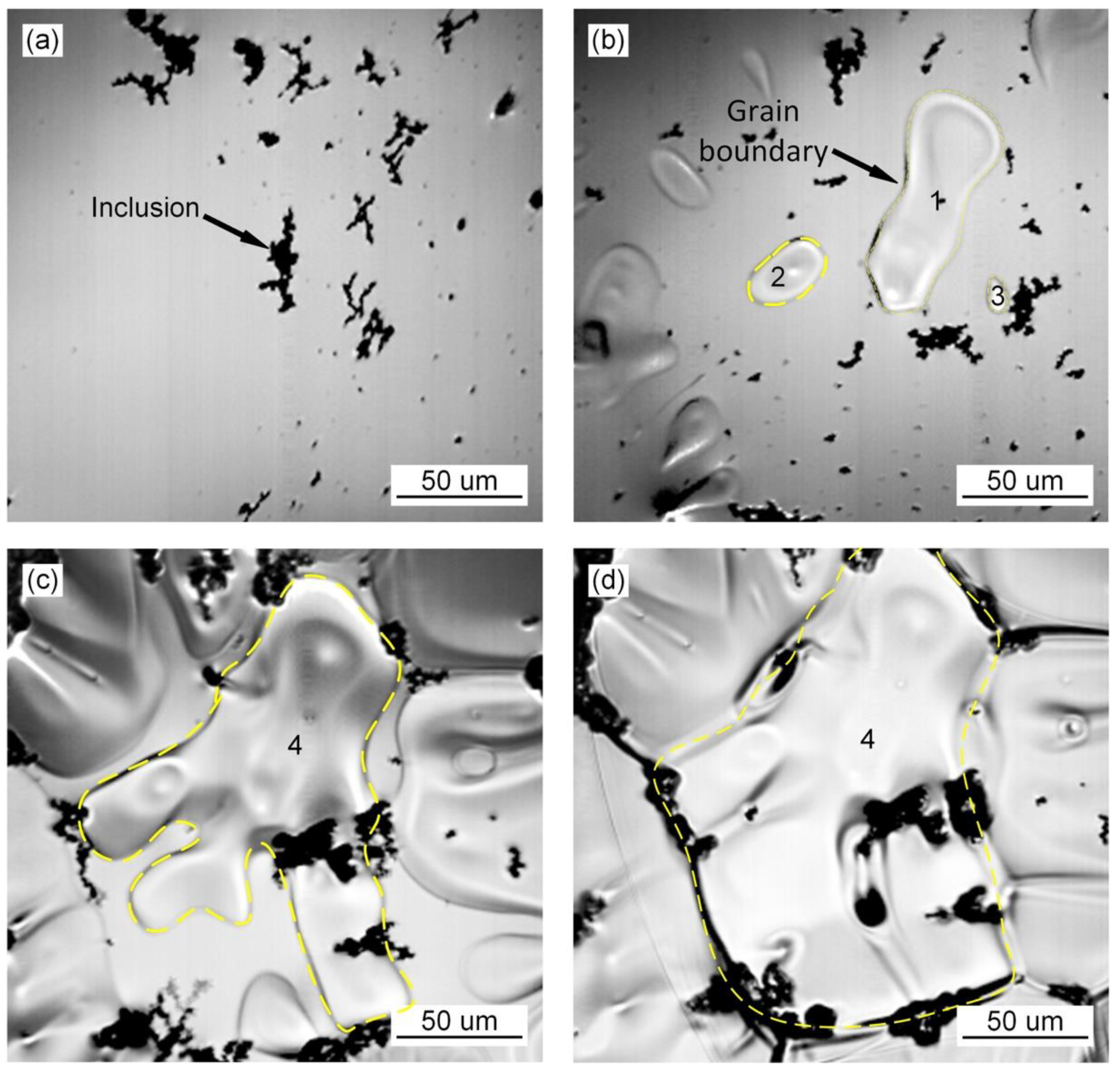 Materials 15 01257 g001 550