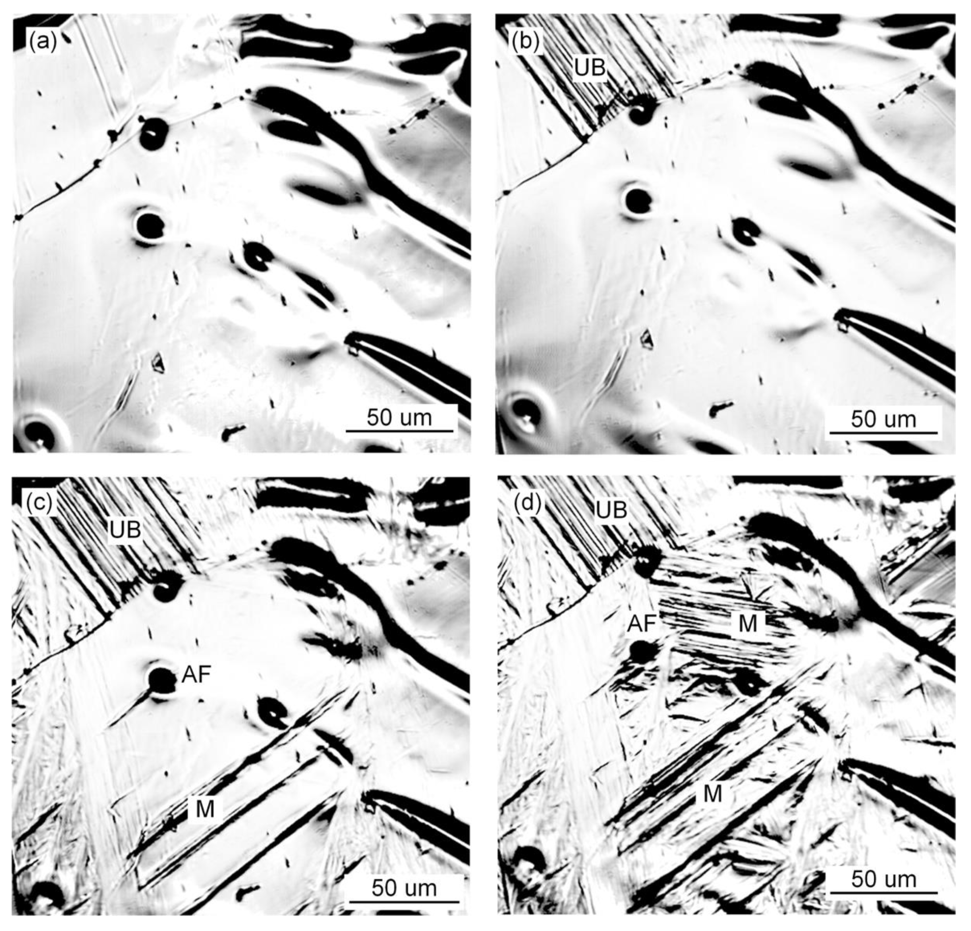 Materials 15 01257 g007 550