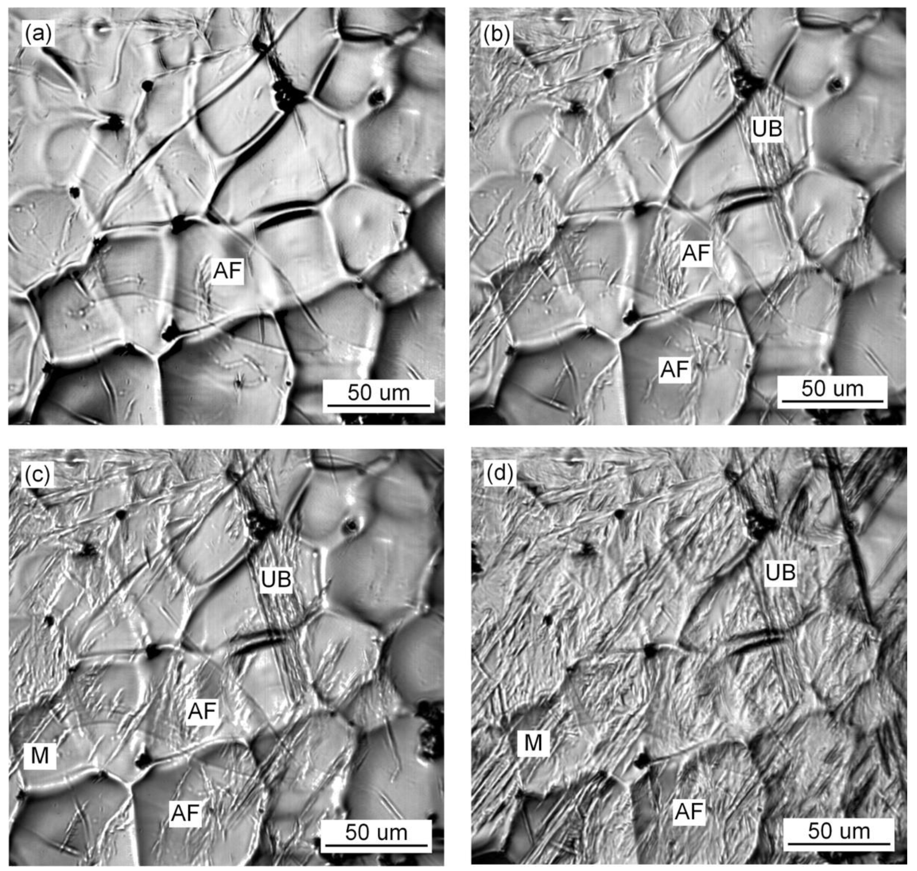 Materials 15 01257 g008 550