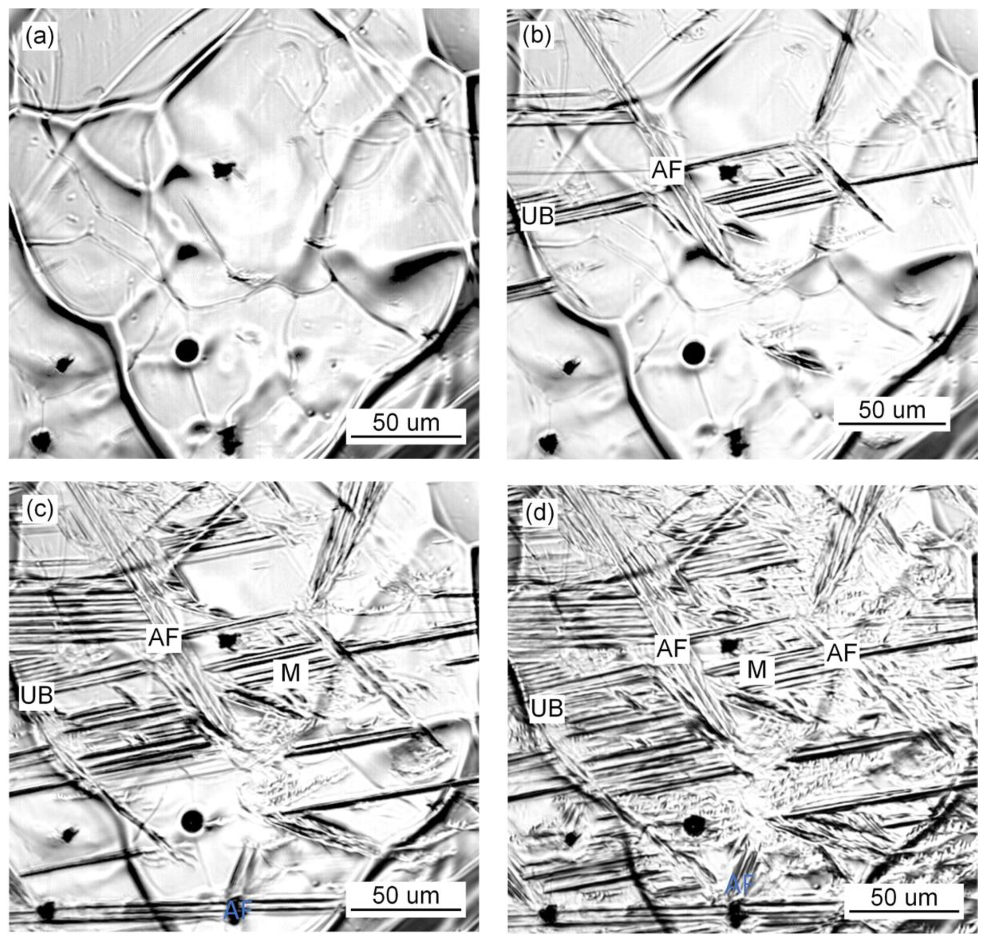 Materials 15 01257 g009 550