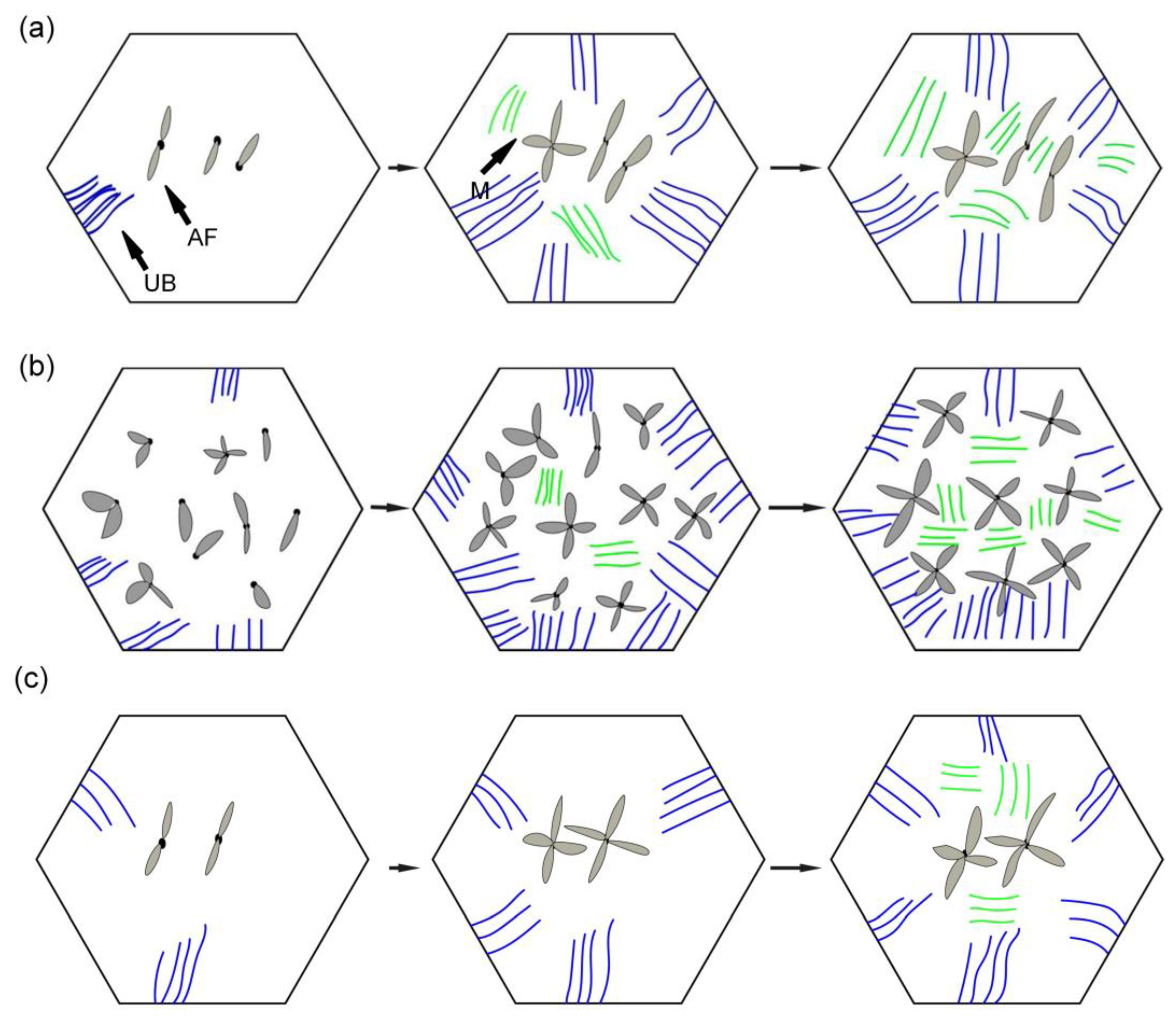 Materials 15 01257 g013 550