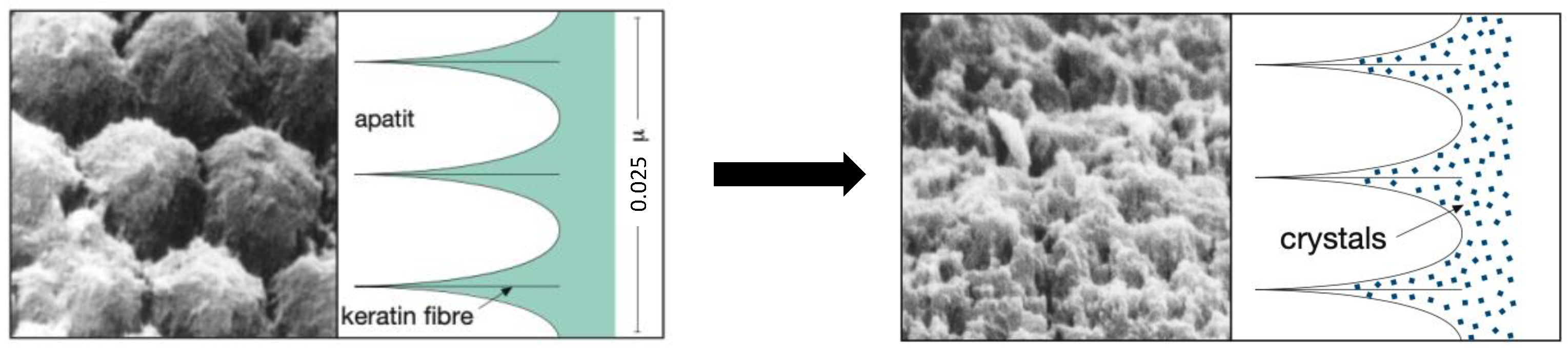 Materials 15 01266 g001