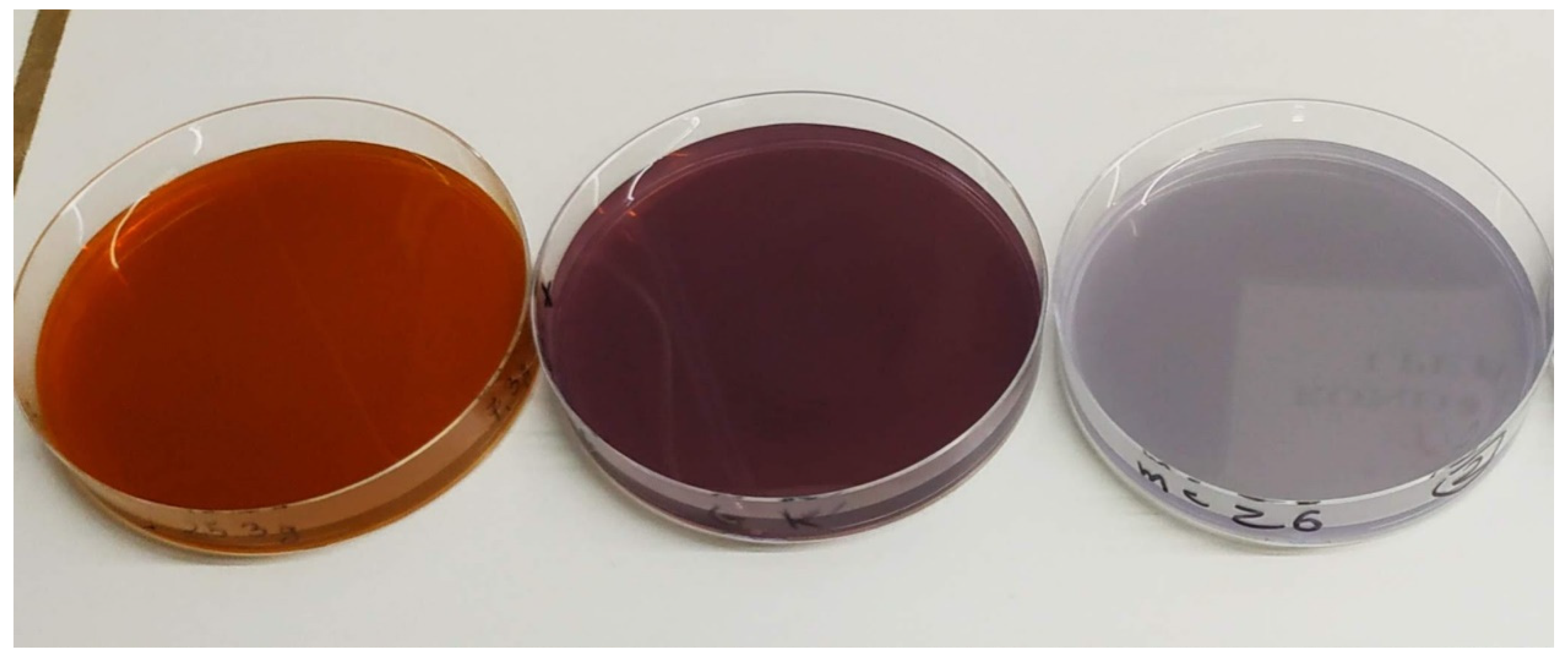 Materials 15 01269 g001