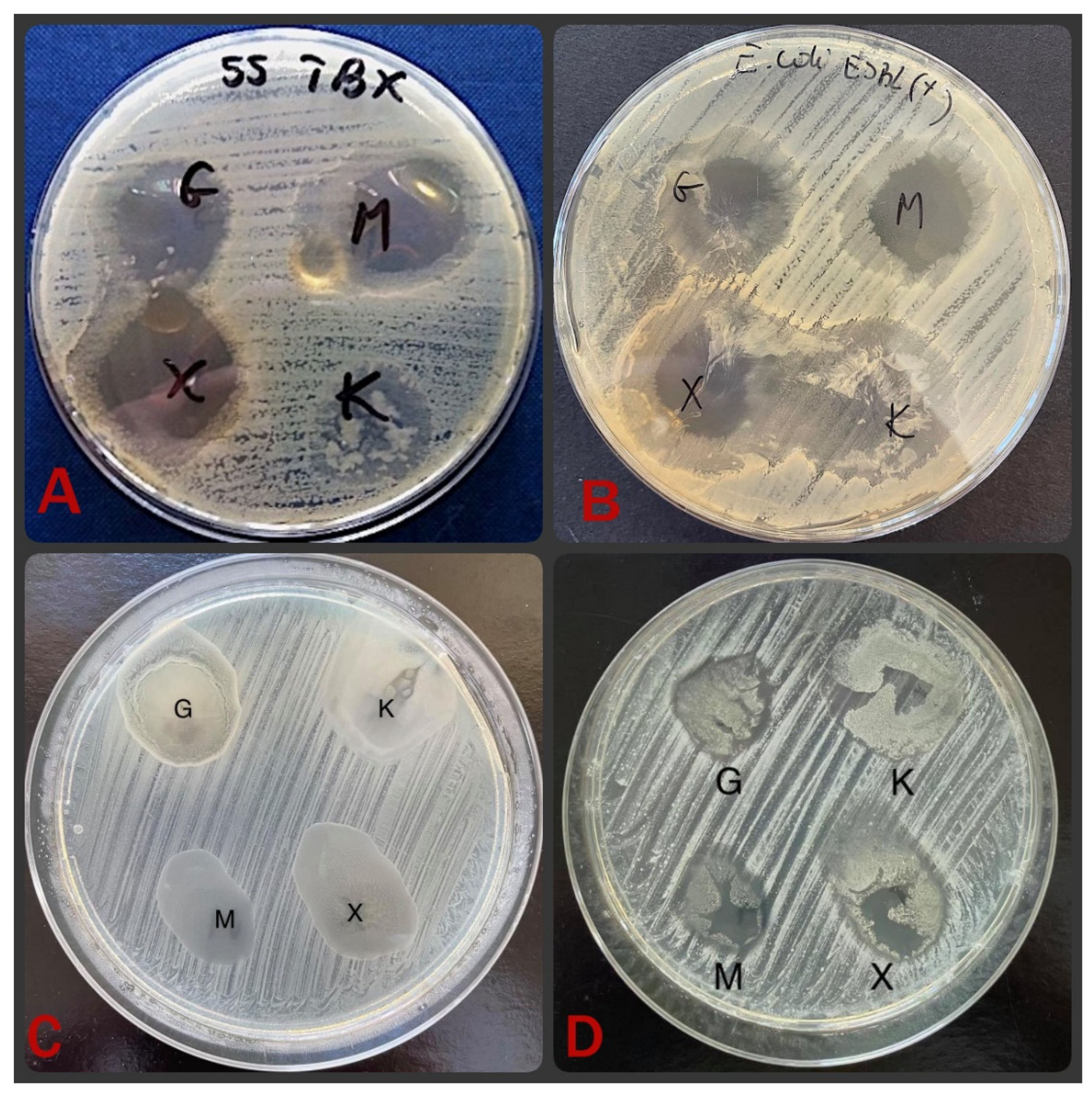 Materials 15 01269 g005