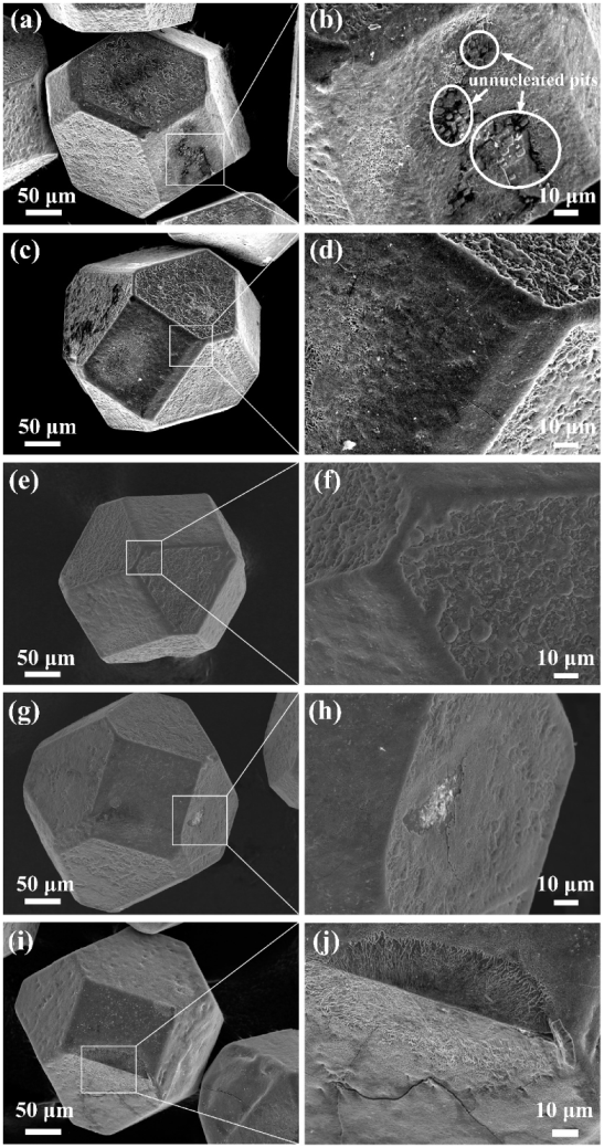 Materials 15 01284 g001 550