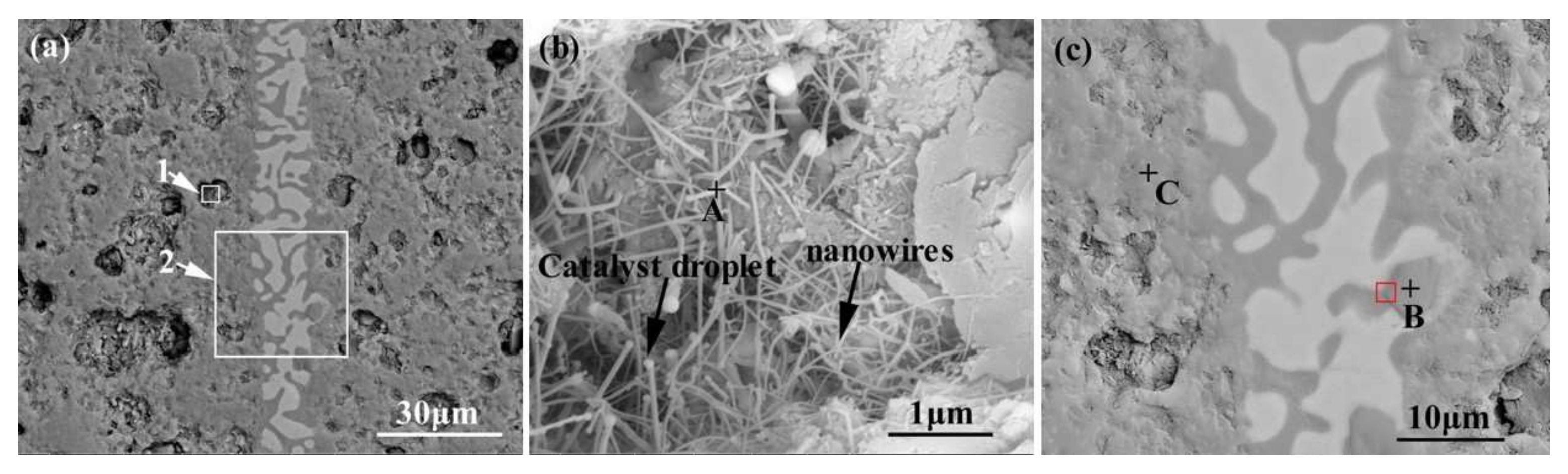 Materials 15 01289 g007 550
