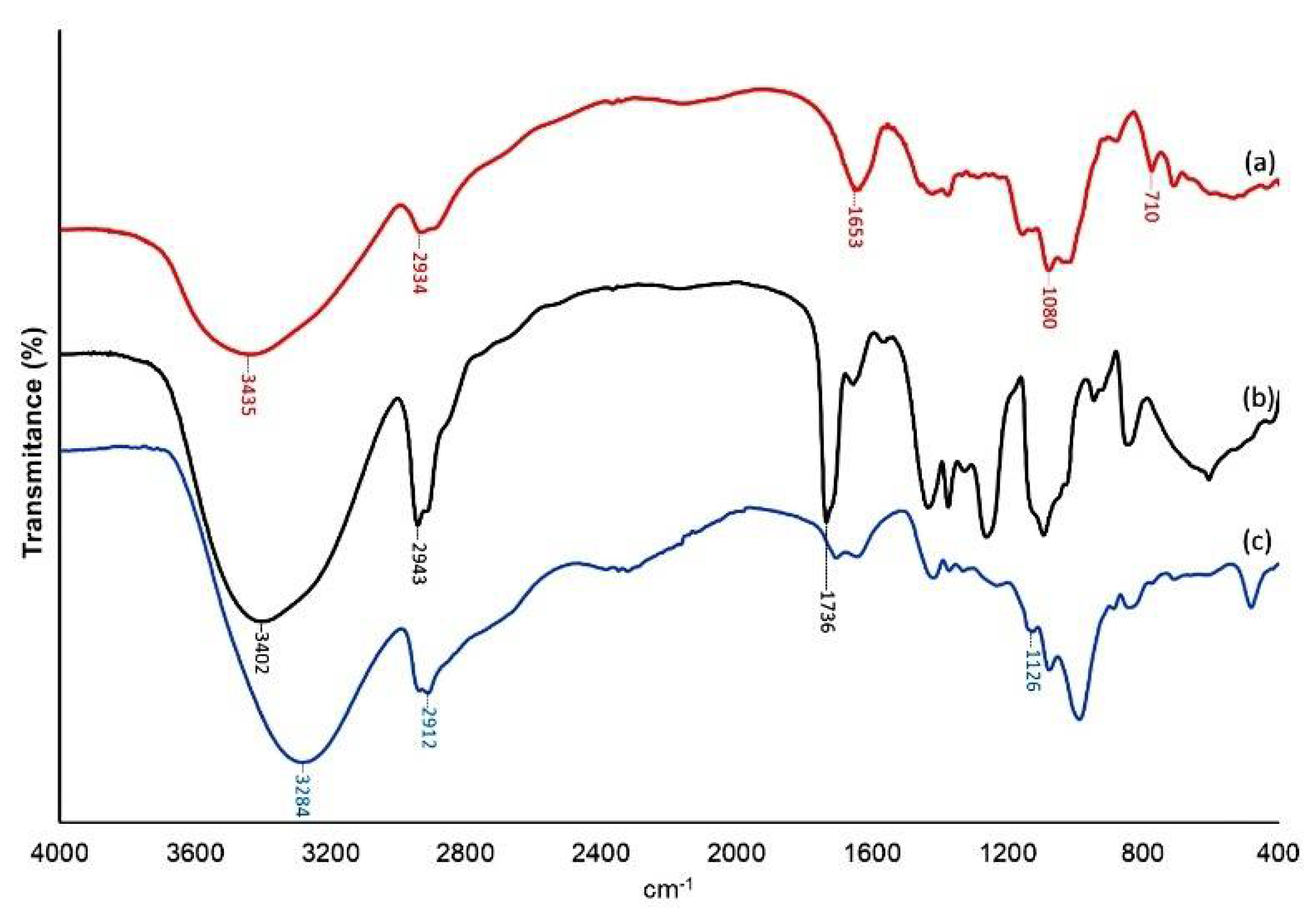 Materials 15 01296 g003 Materials 15 01296 g003
