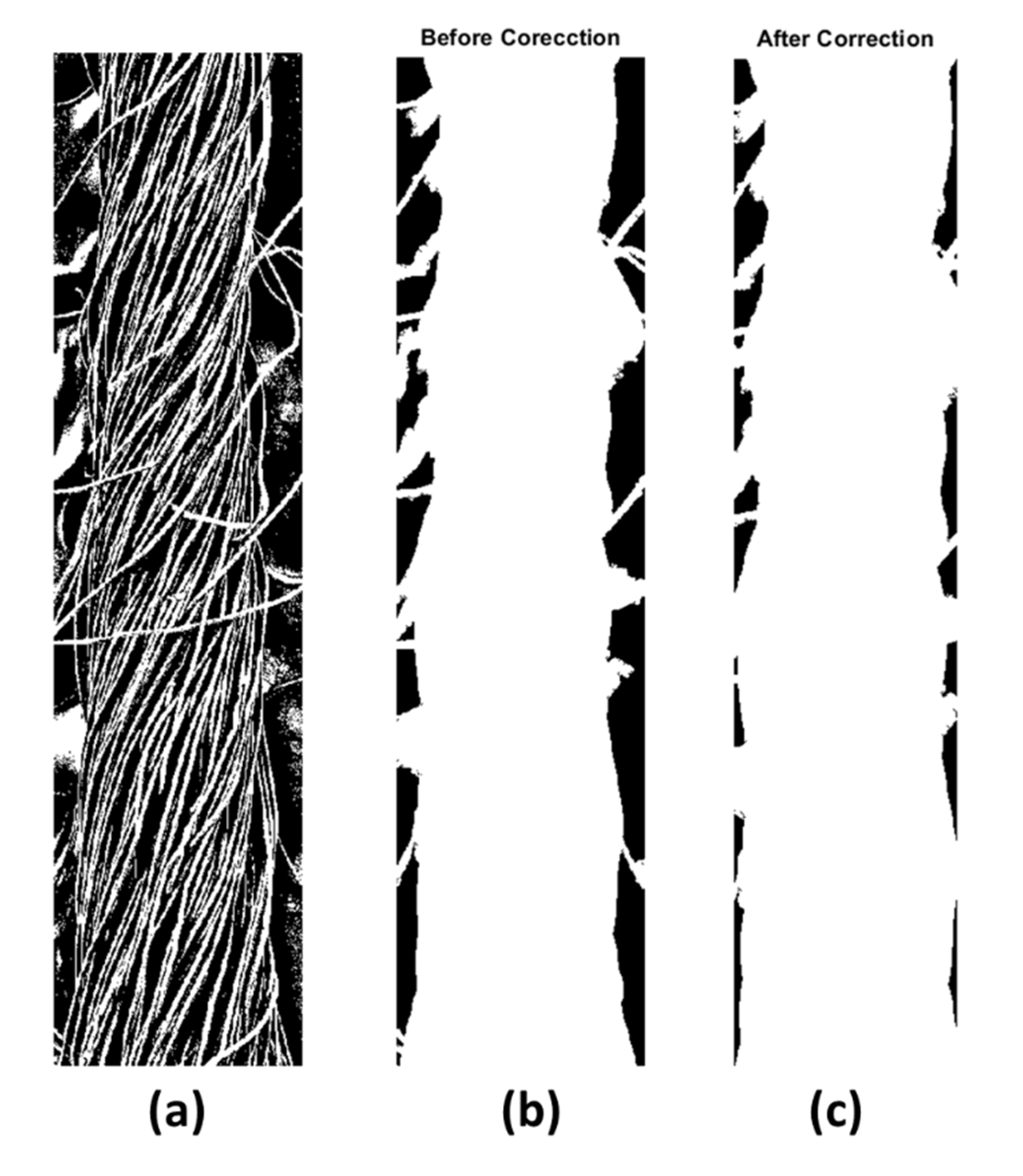 Materials | Free Full-Text | MATLAB Algorithms for Diameter Measurements of Textile Yarns and Fibers through Image Processing Techniques | HTML